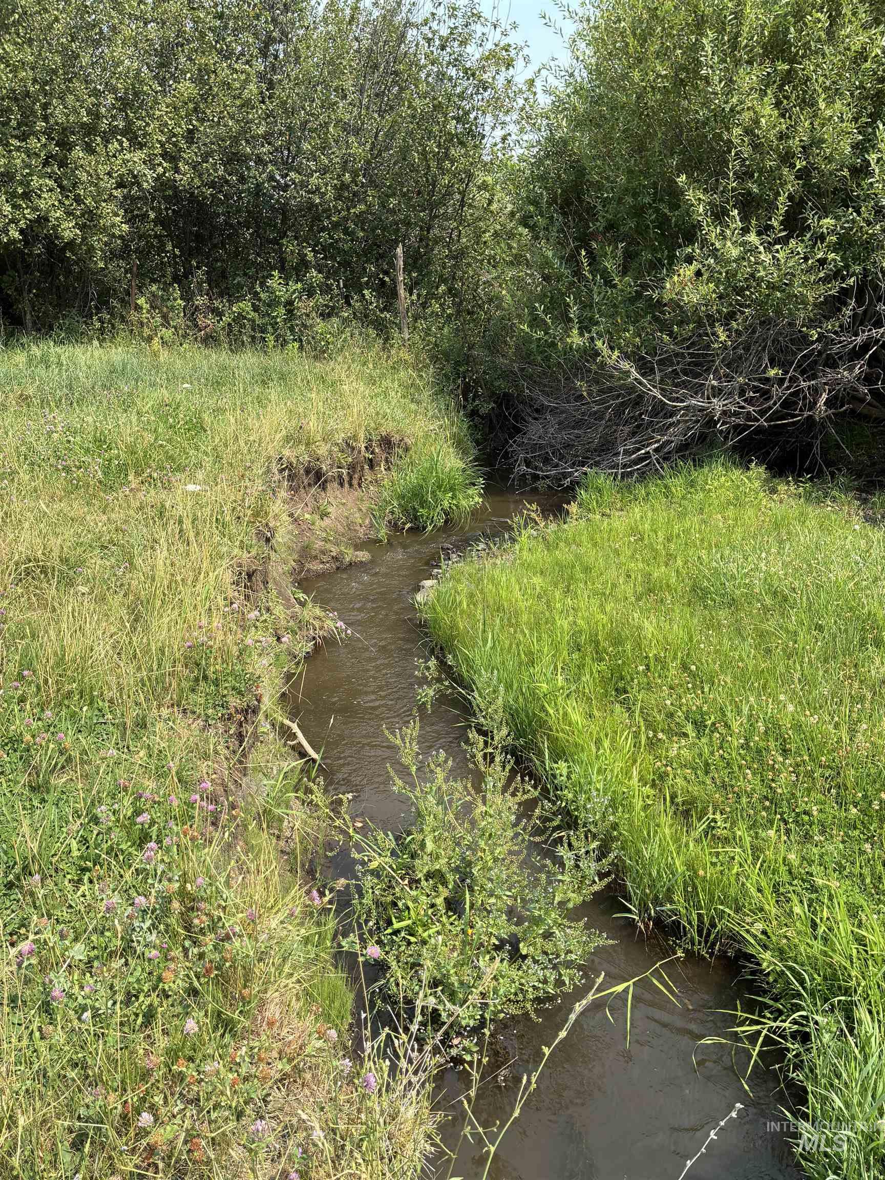 Tbd Hoover Lane Property Photo 9
