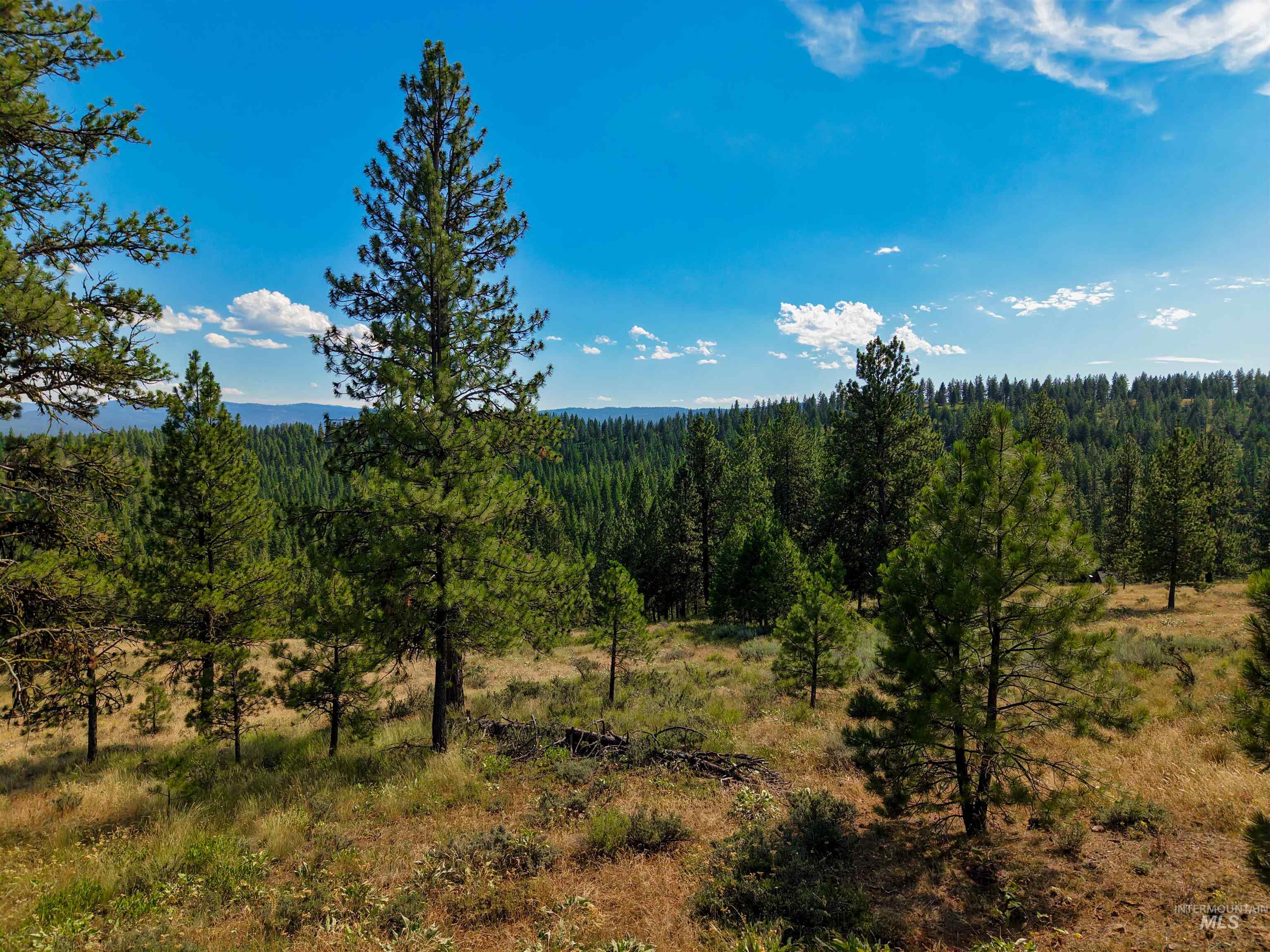 Tbd Eagle Feather Road Property Photo 14
