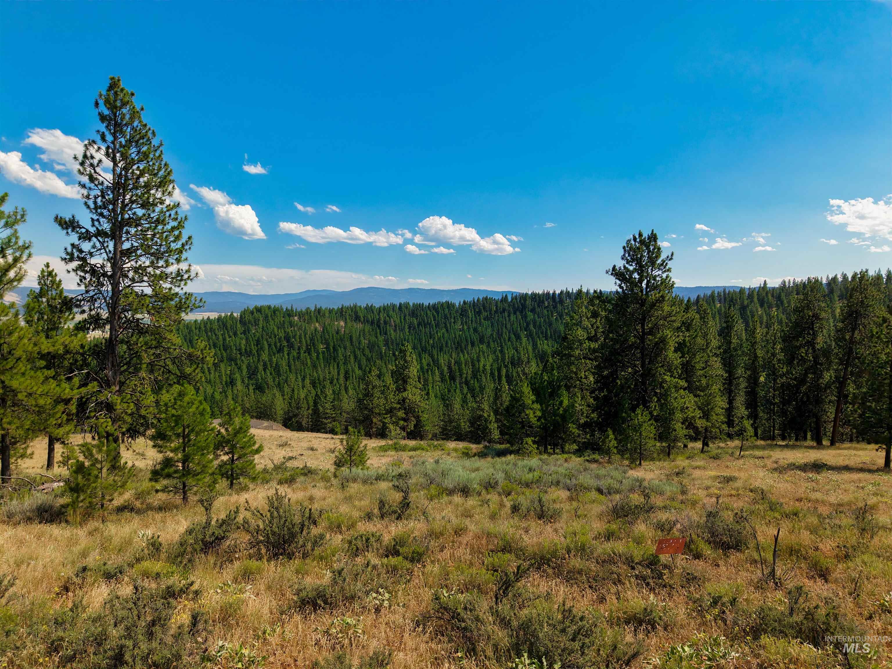 Tbd Eagle Feather Road Property Photo 15