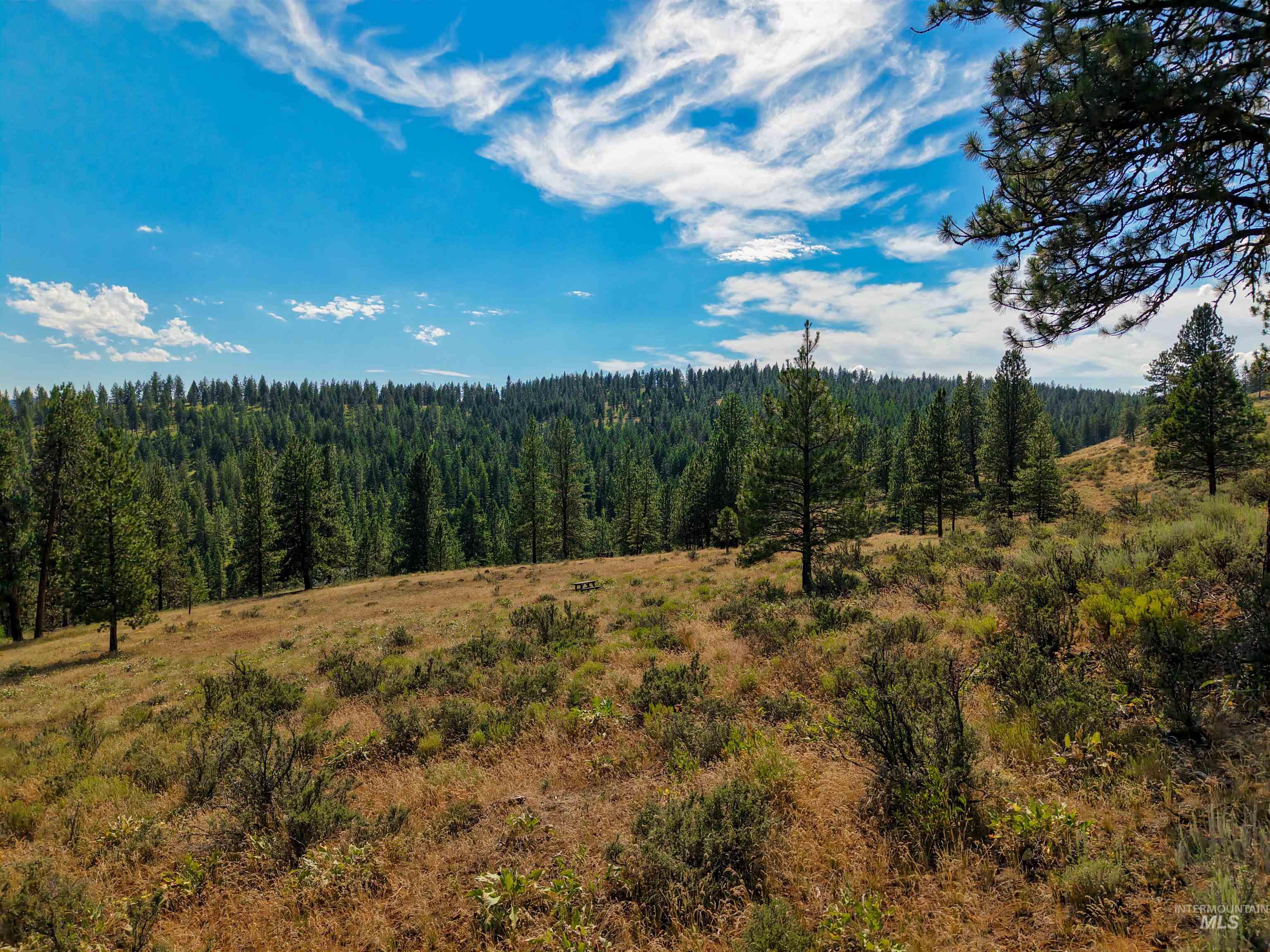 Tbd Eagle Feather Road Property Photo 16