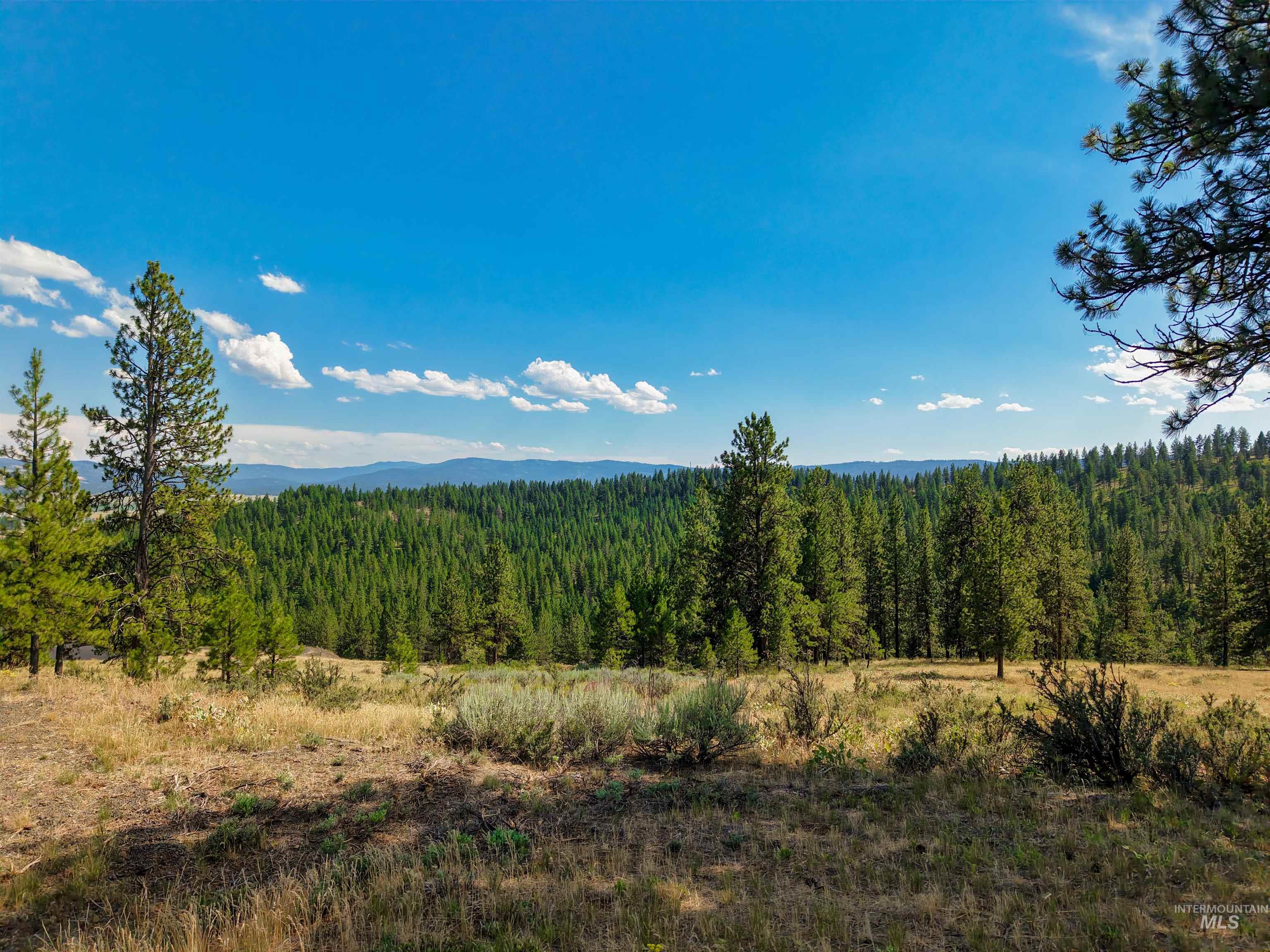 Tbd Eagle Feather Road Property Photo 17
