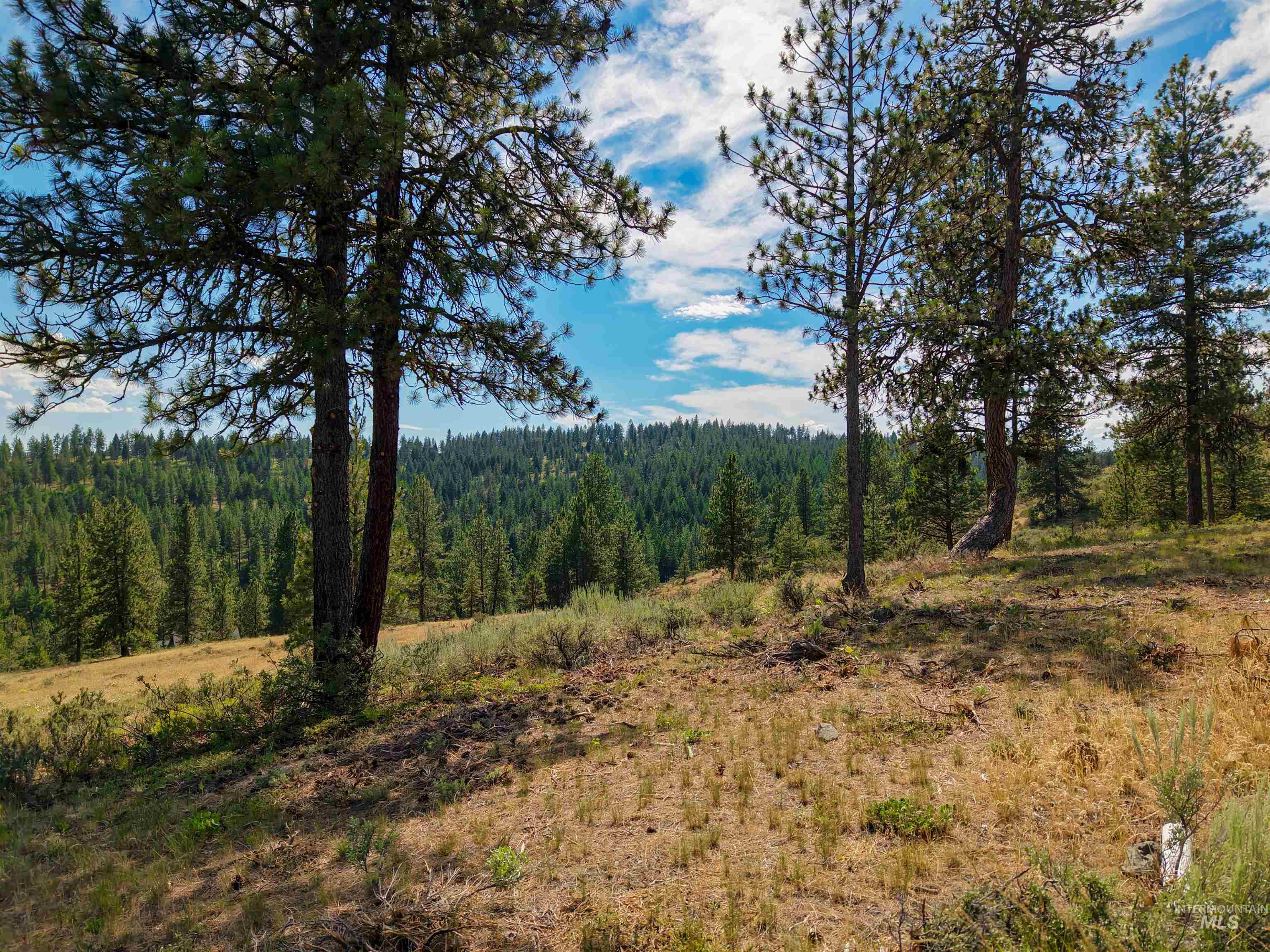 Tbd Eagle Feather Road Property Photo 18
