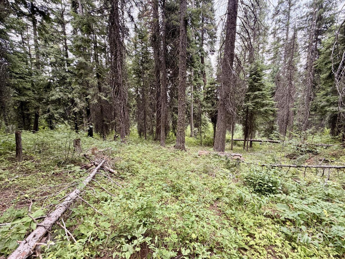 56 Burnt Wagon Trail Property Photo 1