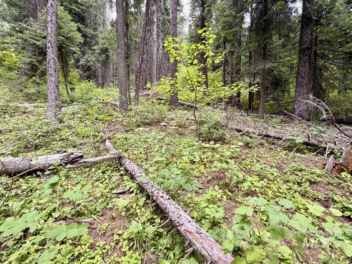 56 Burnt Wagon Trail Property Photo 3