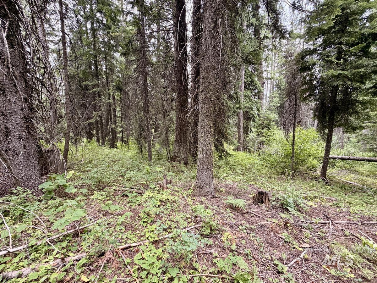 56 Burnt Wagon Trail Property Photo 4