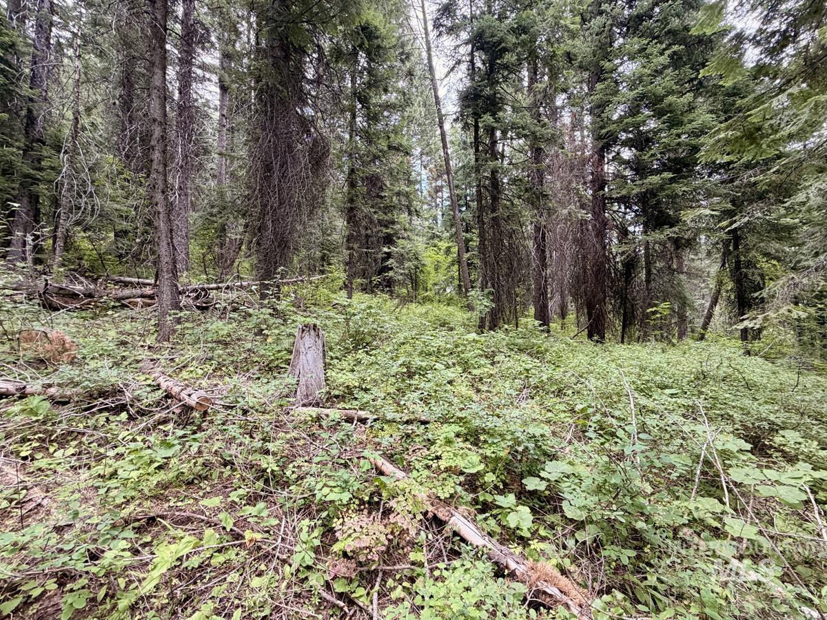 56 Burnt Wagon Trail Property Photo 7