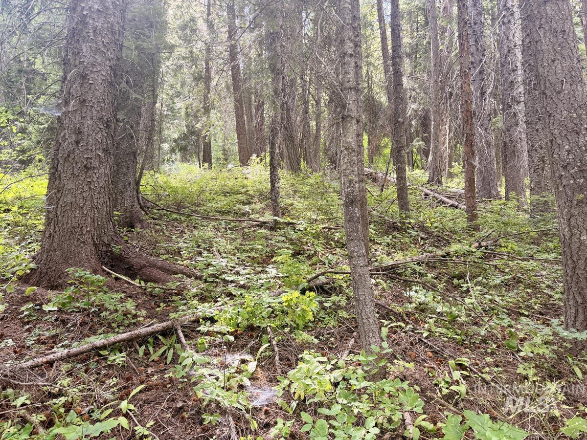 56 Burnt Wagon Trail Property Photo 8