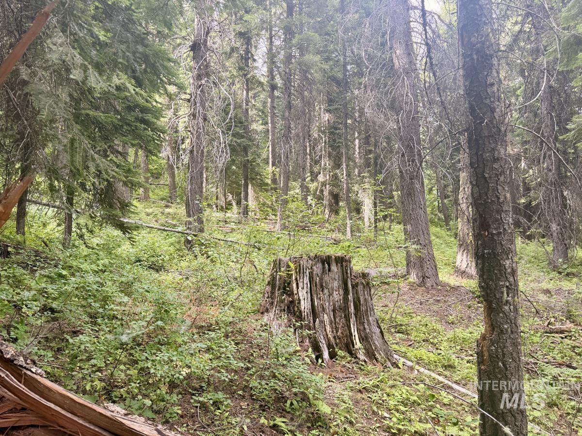 56 Burnt Wagon Trail Property Photo 9