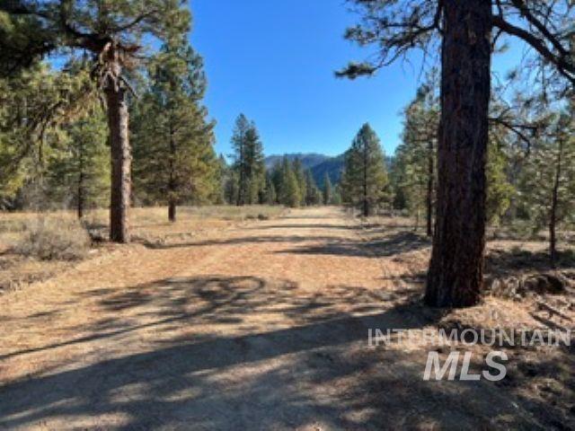 Tbd Wilderness Ln Property Photo 2