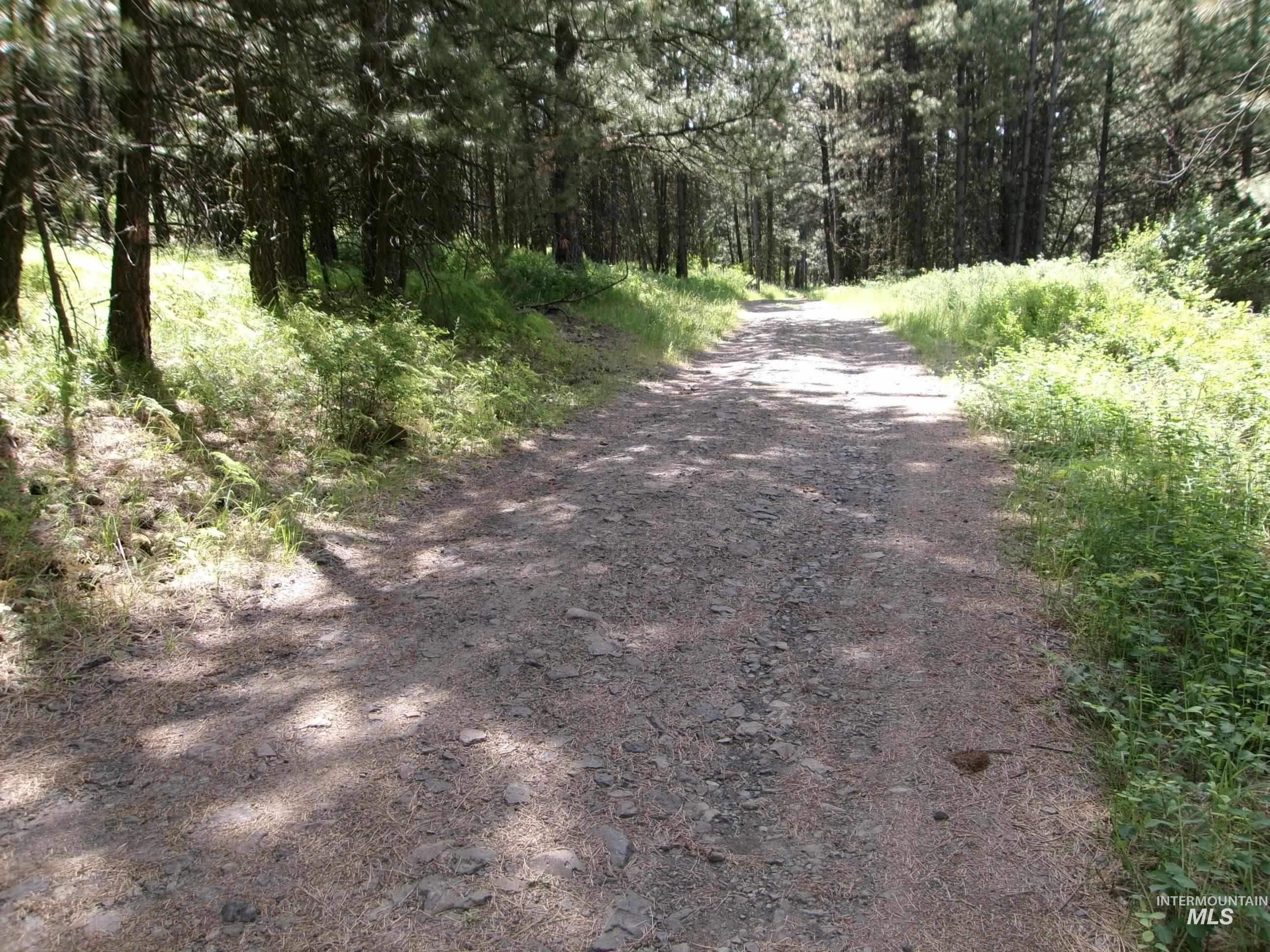 Tbd 5ac Jackpine Rd Property Photo 3