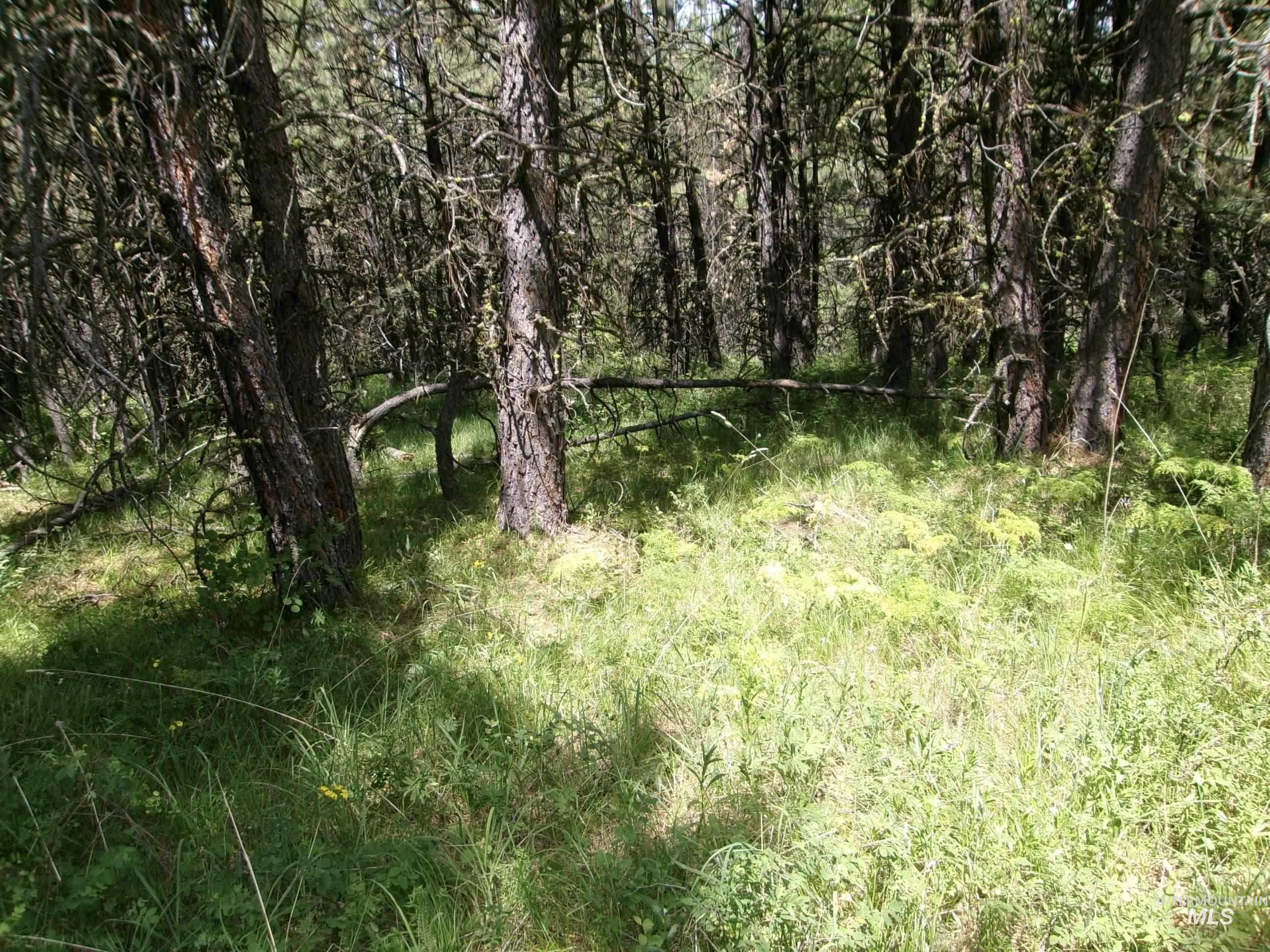 Tbd 5ac Jackpine Rd Property Photo 4