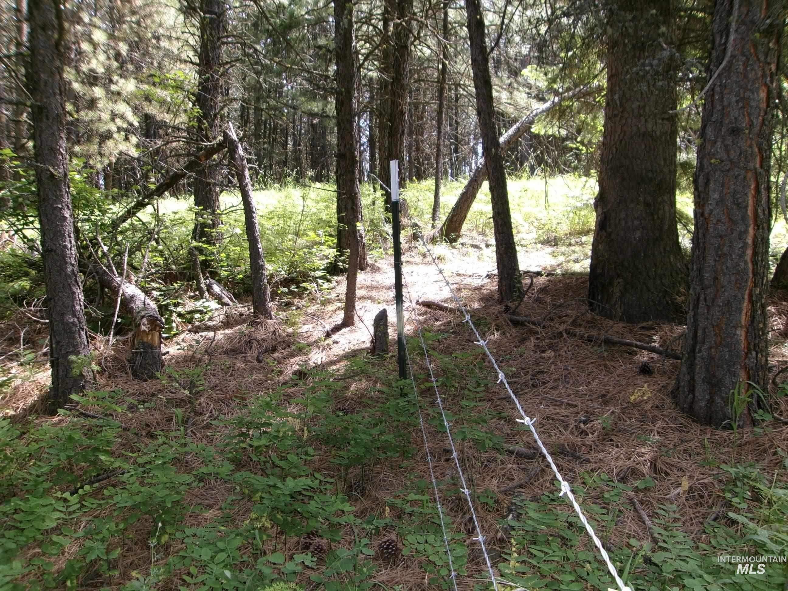 Tbd 5ac Jackpine Rd Property Photo 5
