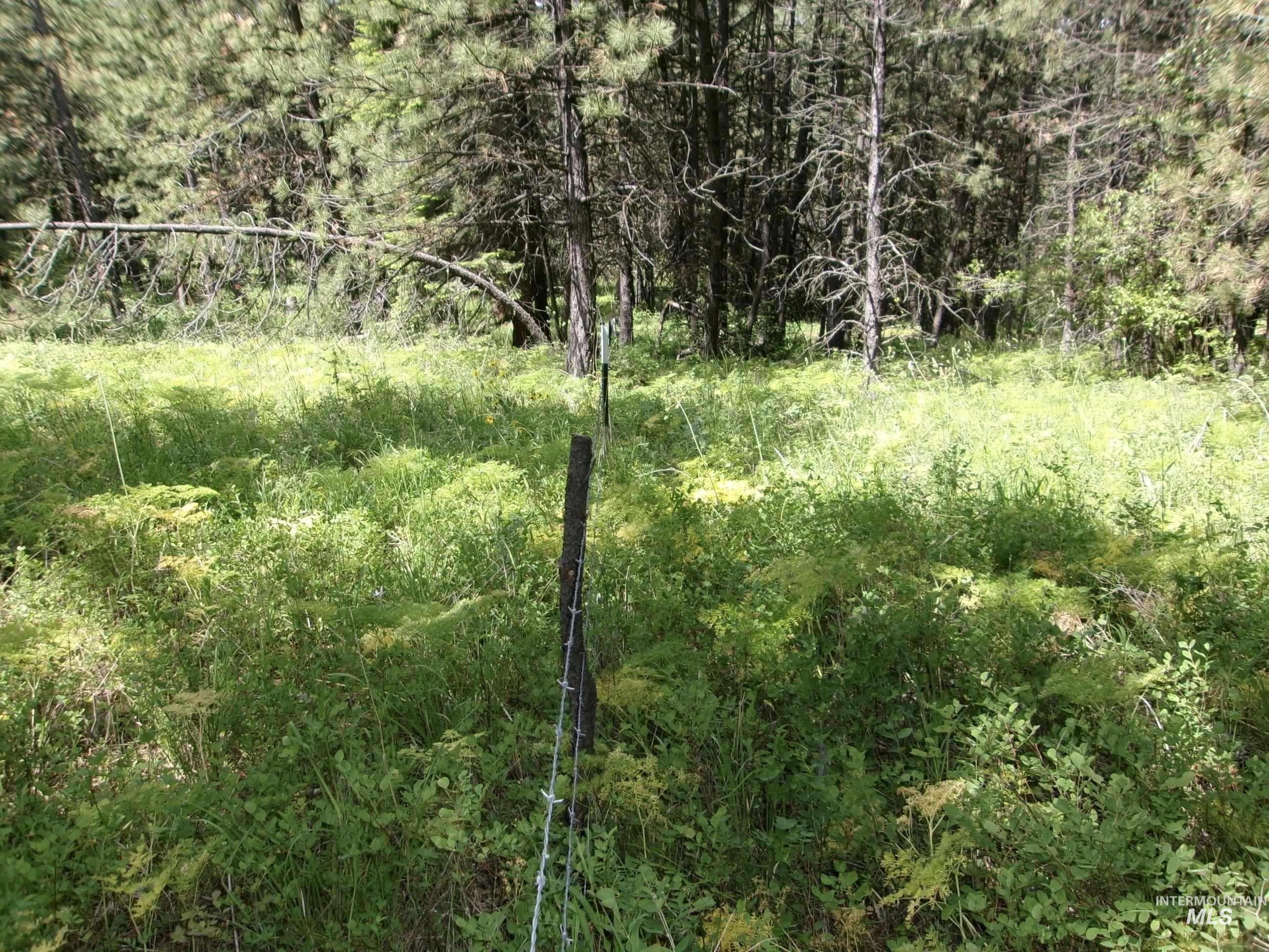 Tbd 5ac Jackpine Rd Property Photo 7