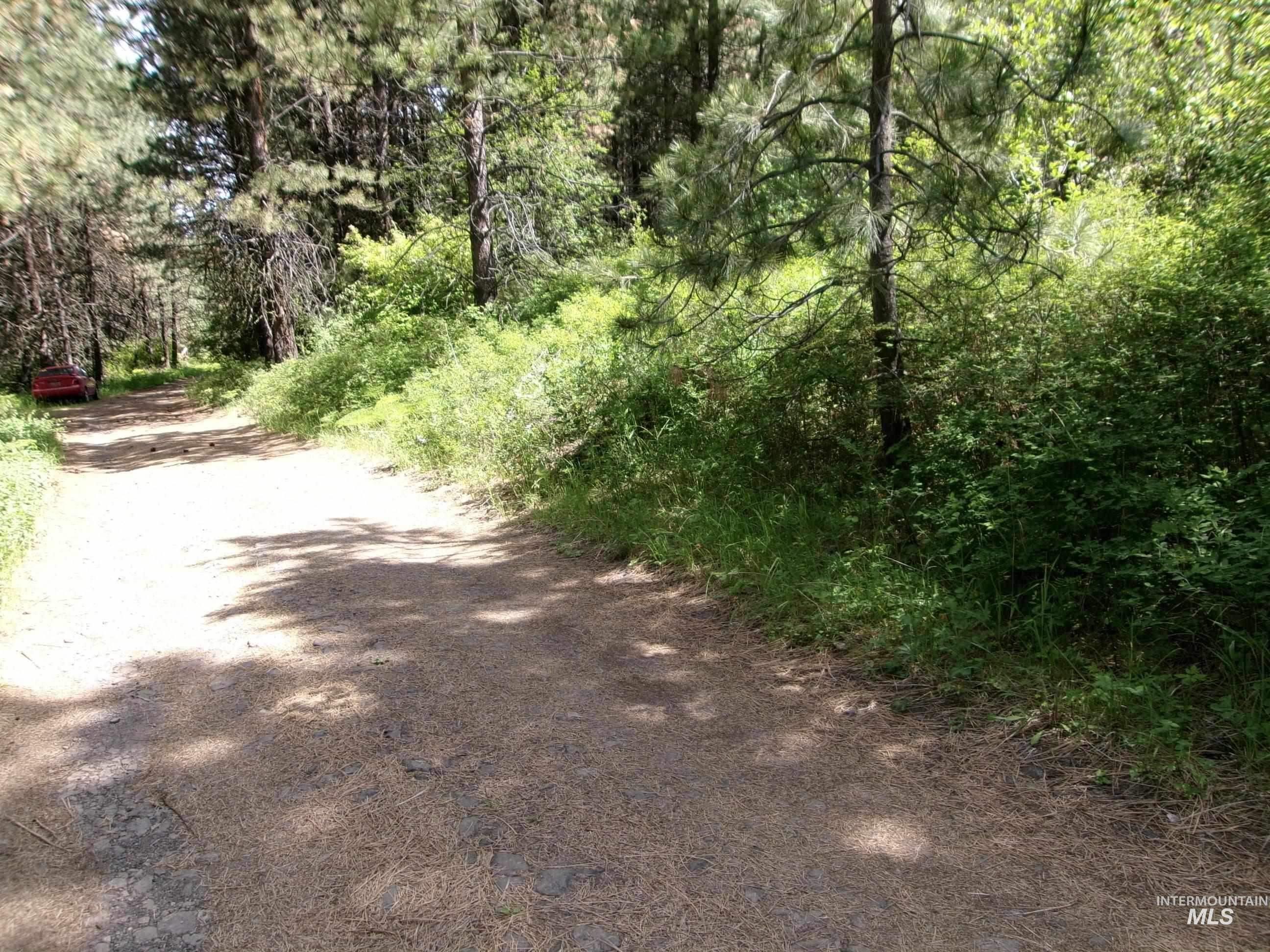 Tbd 5ac Jackpine Rd Property Photo 9