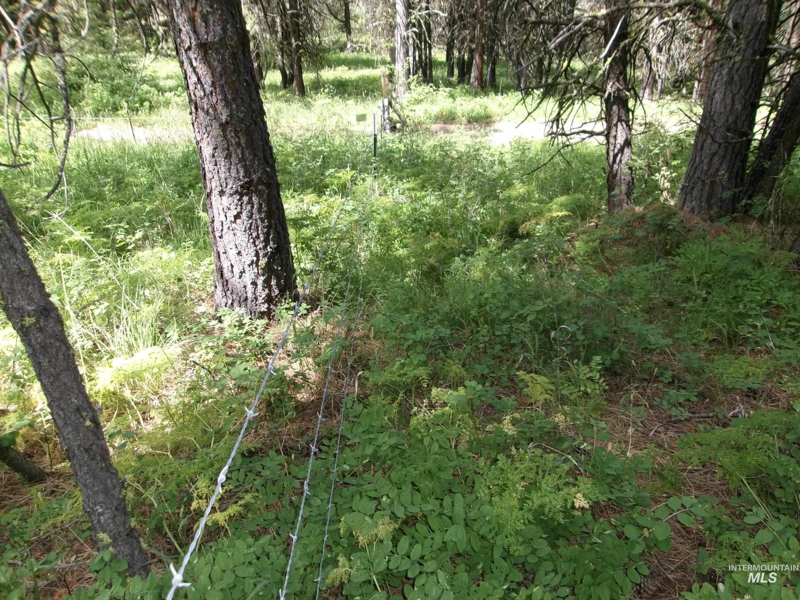 Tbd 5ac Jackpine Rd Property Photo 11
