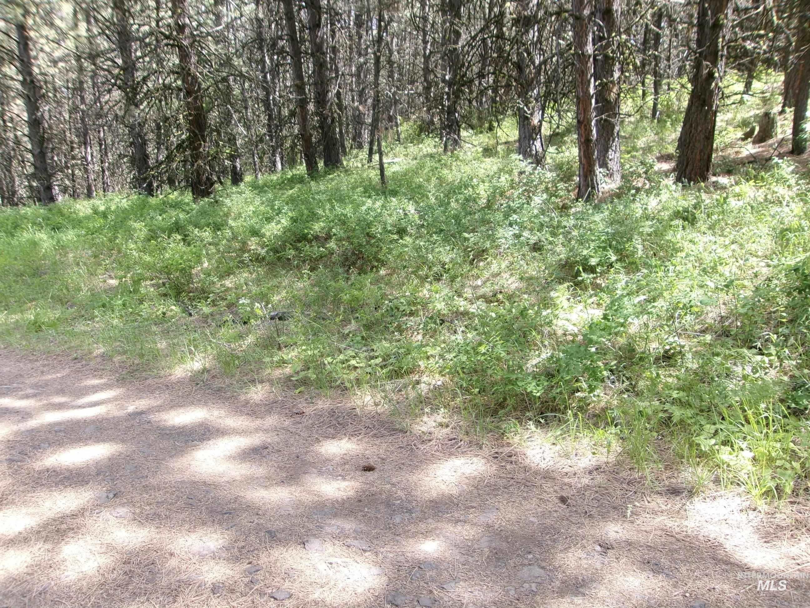 Tbd 5ac Jackpine Rd Property Photo 12