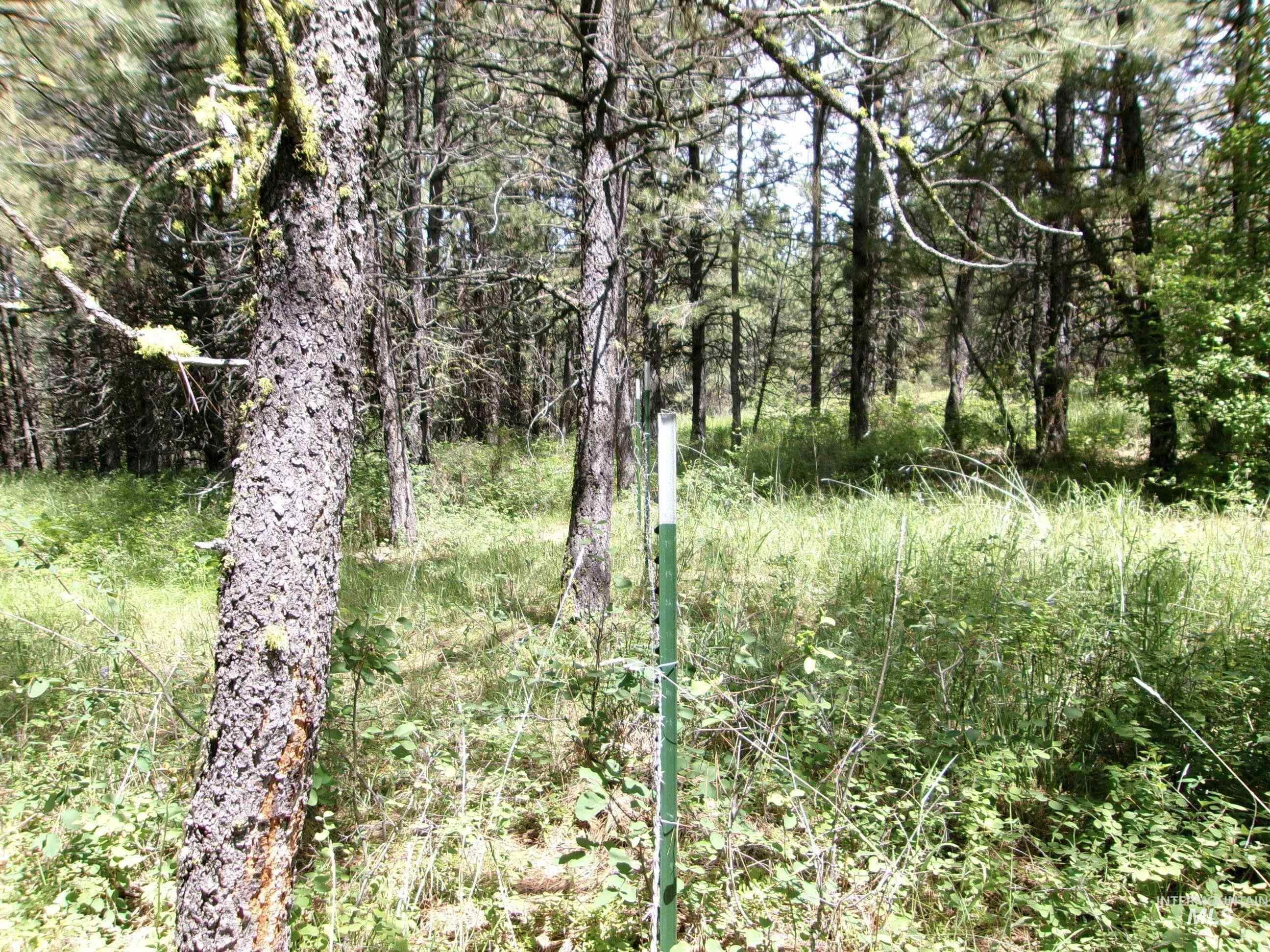 Tbd 5ac Jackpine Rd Property Photo 13