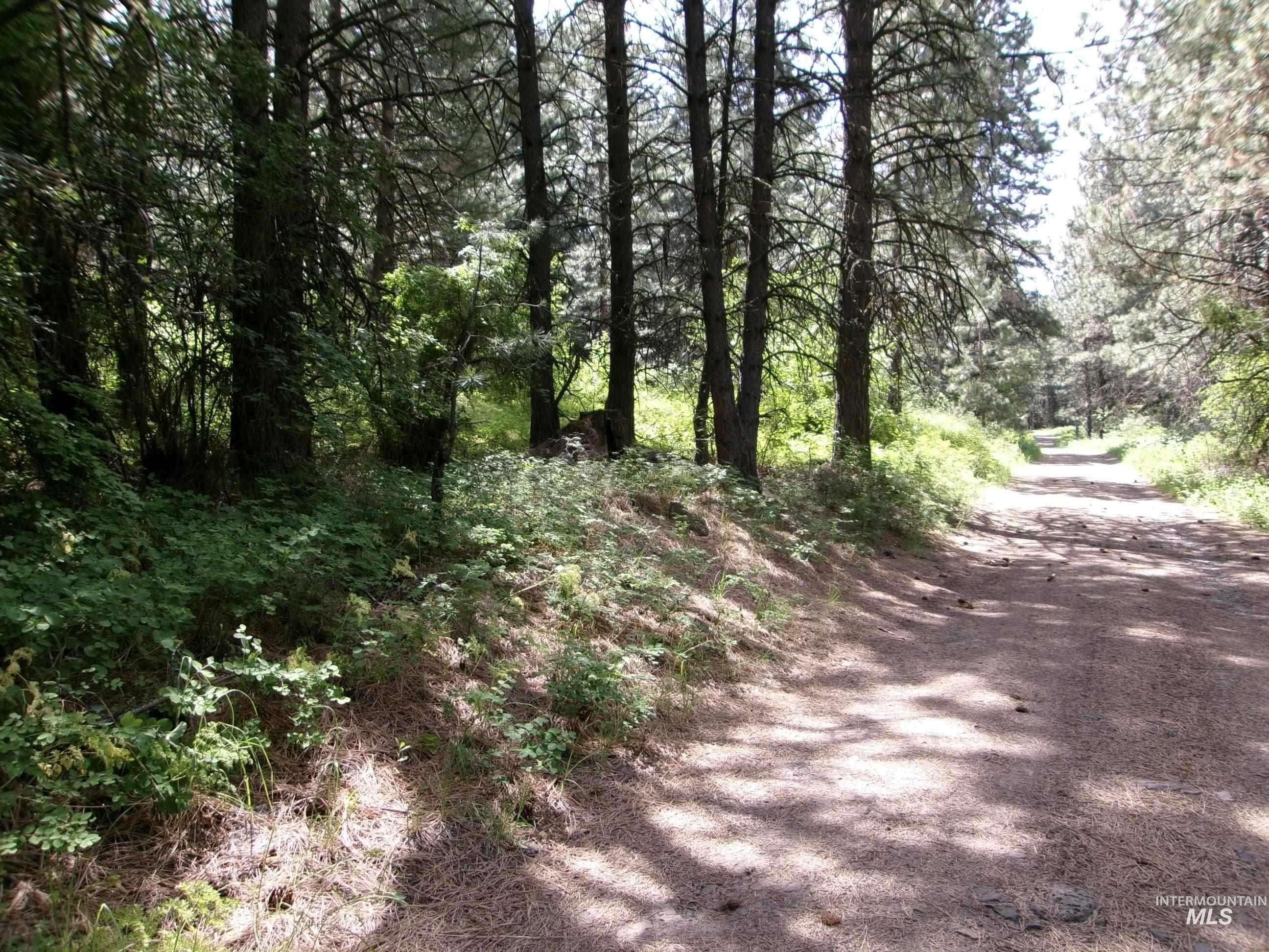 Tbd 5ac Jackpine Rd Property Photo 14