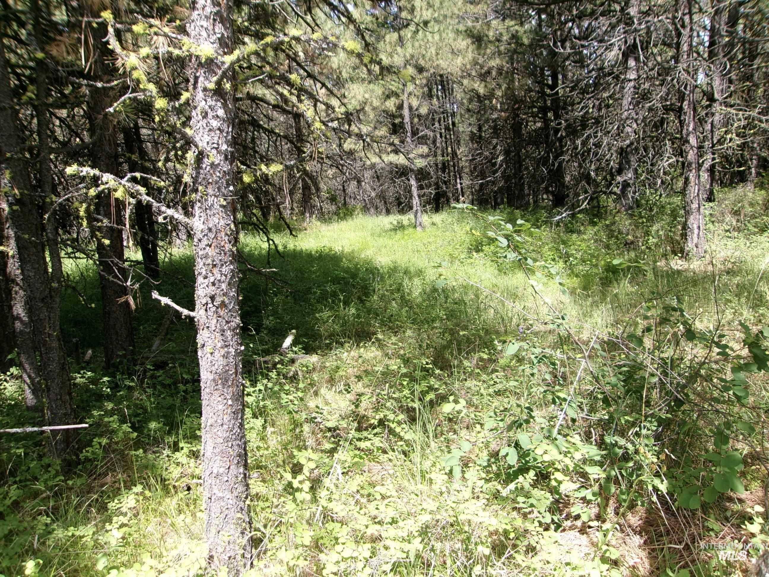 Tbd 5ac Jackpine Rd Property Photo 17