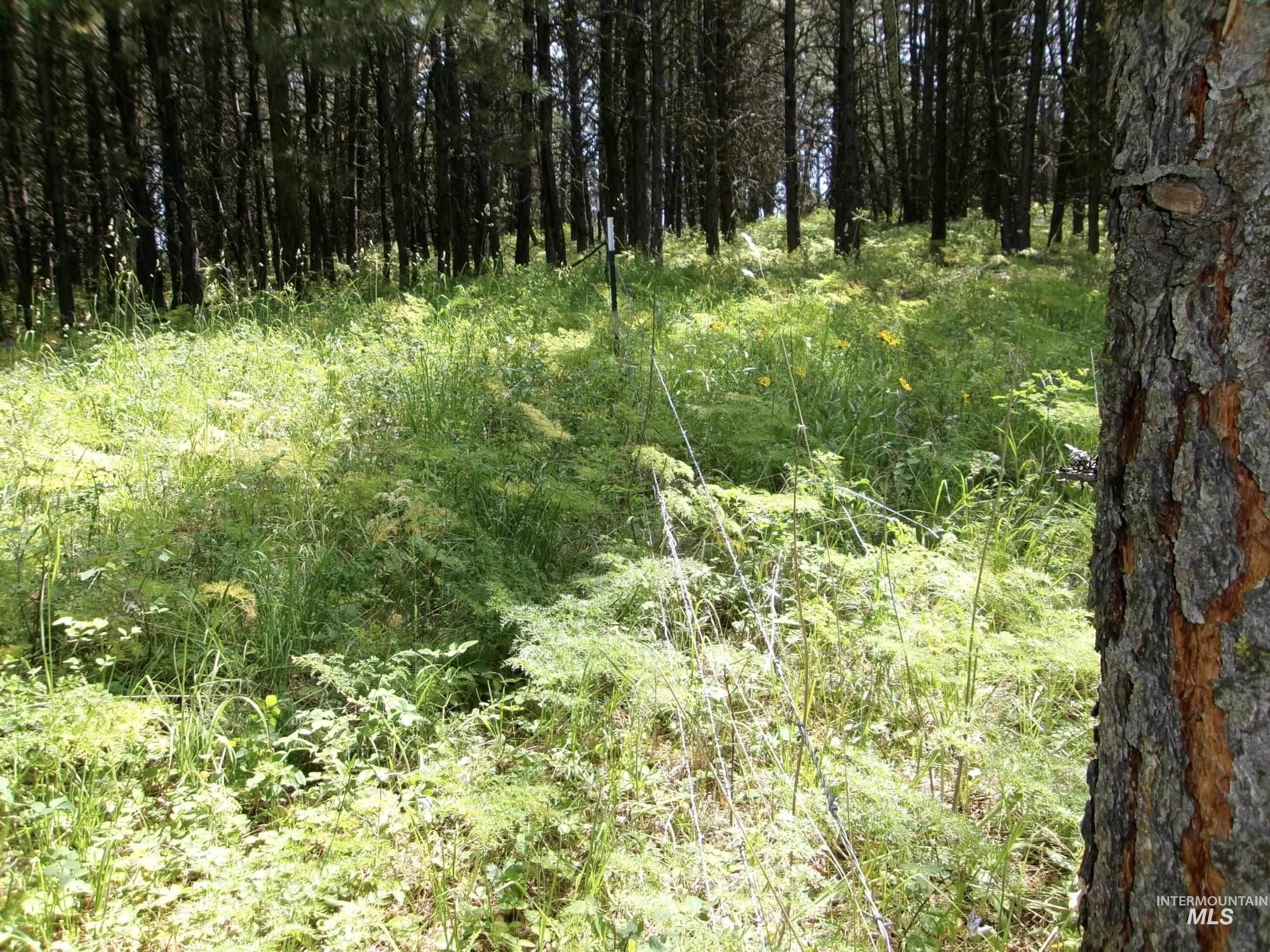 Tbd 5ac Jackpine Rd Property Photo 18