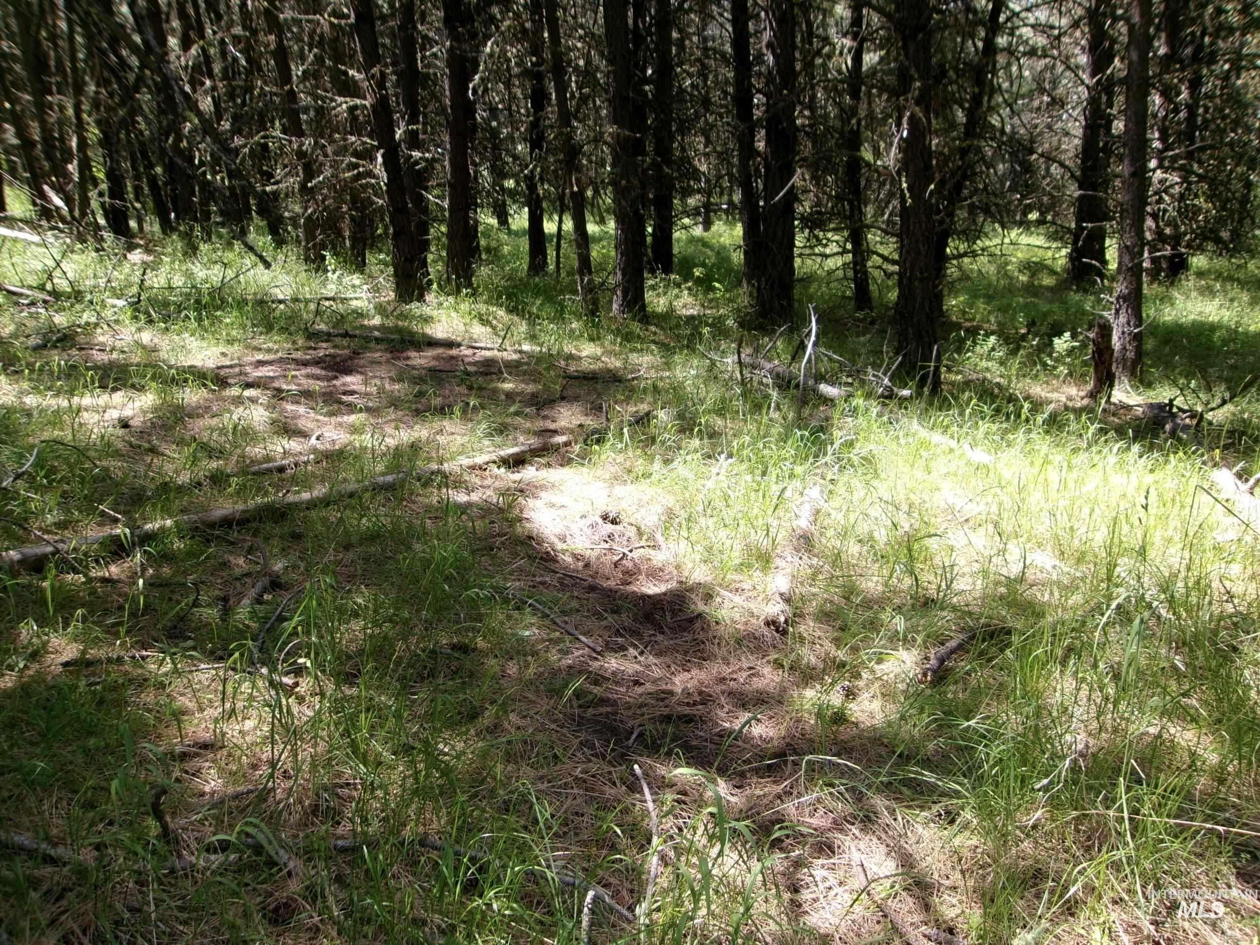 Tbd 5ac Jackpine Rd Property Photo 21