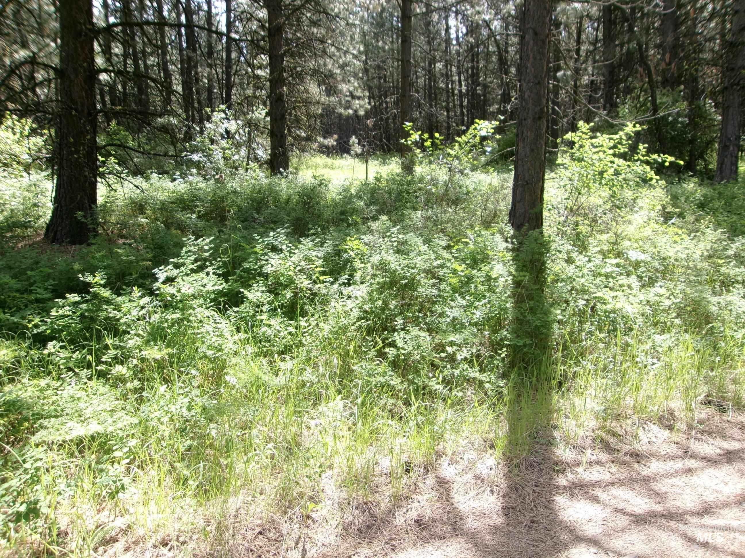 Tbd 5ac Jackpine Rd Property Photo 22