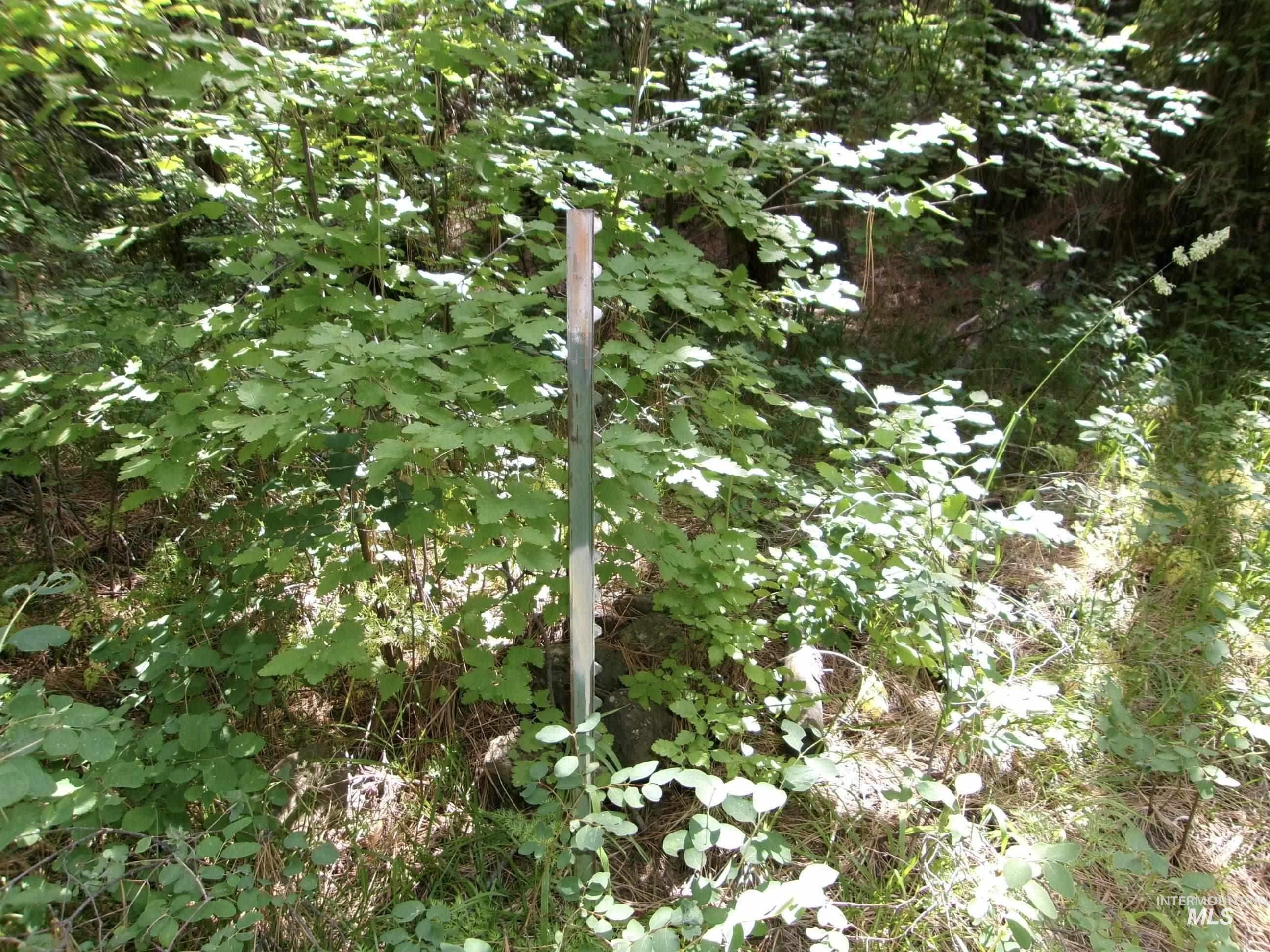 Tbd 5ac Jackpine Rd Property Photo 23