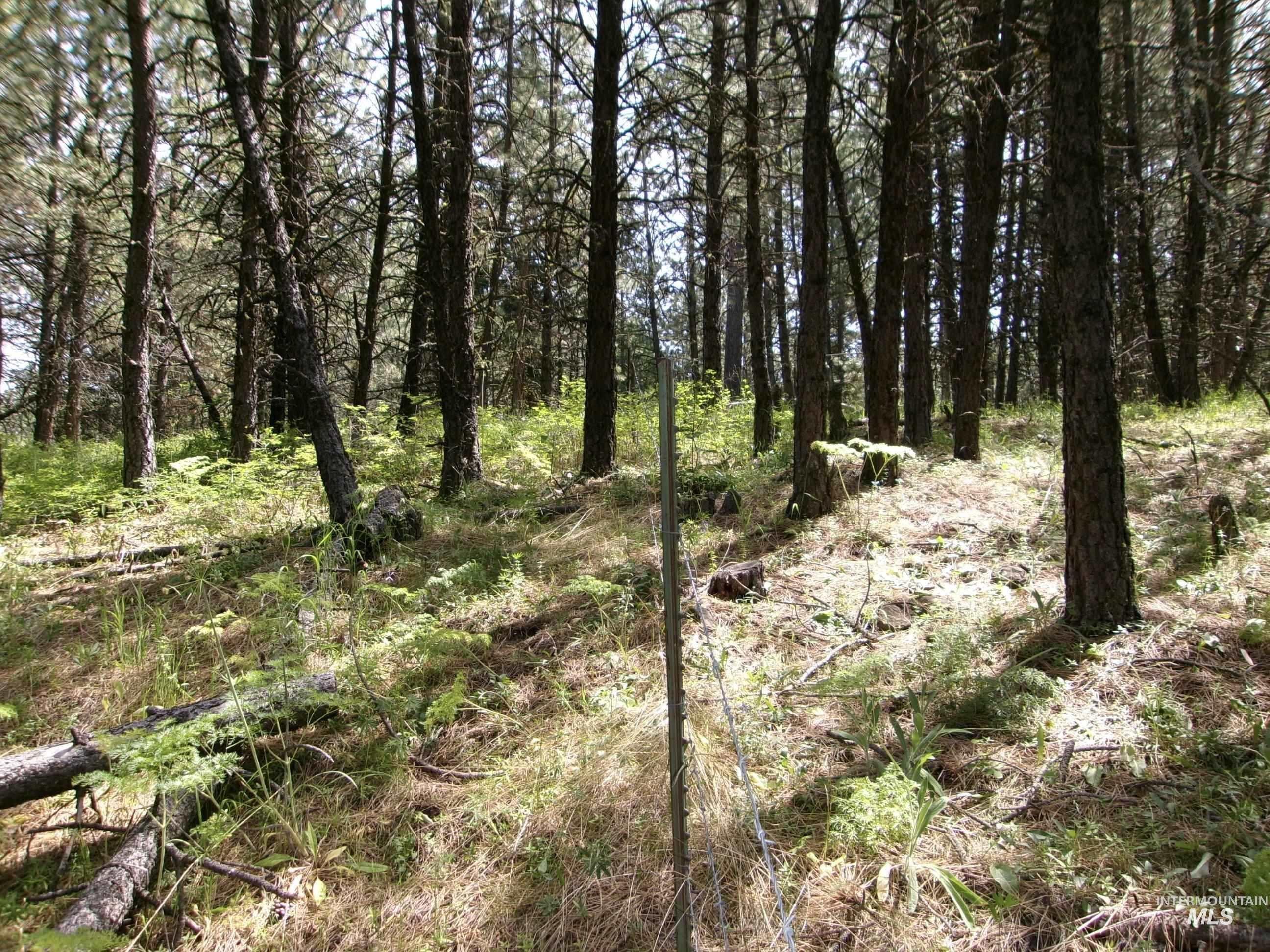 Tbd 5ac Jackpine Rd Property Photo 26