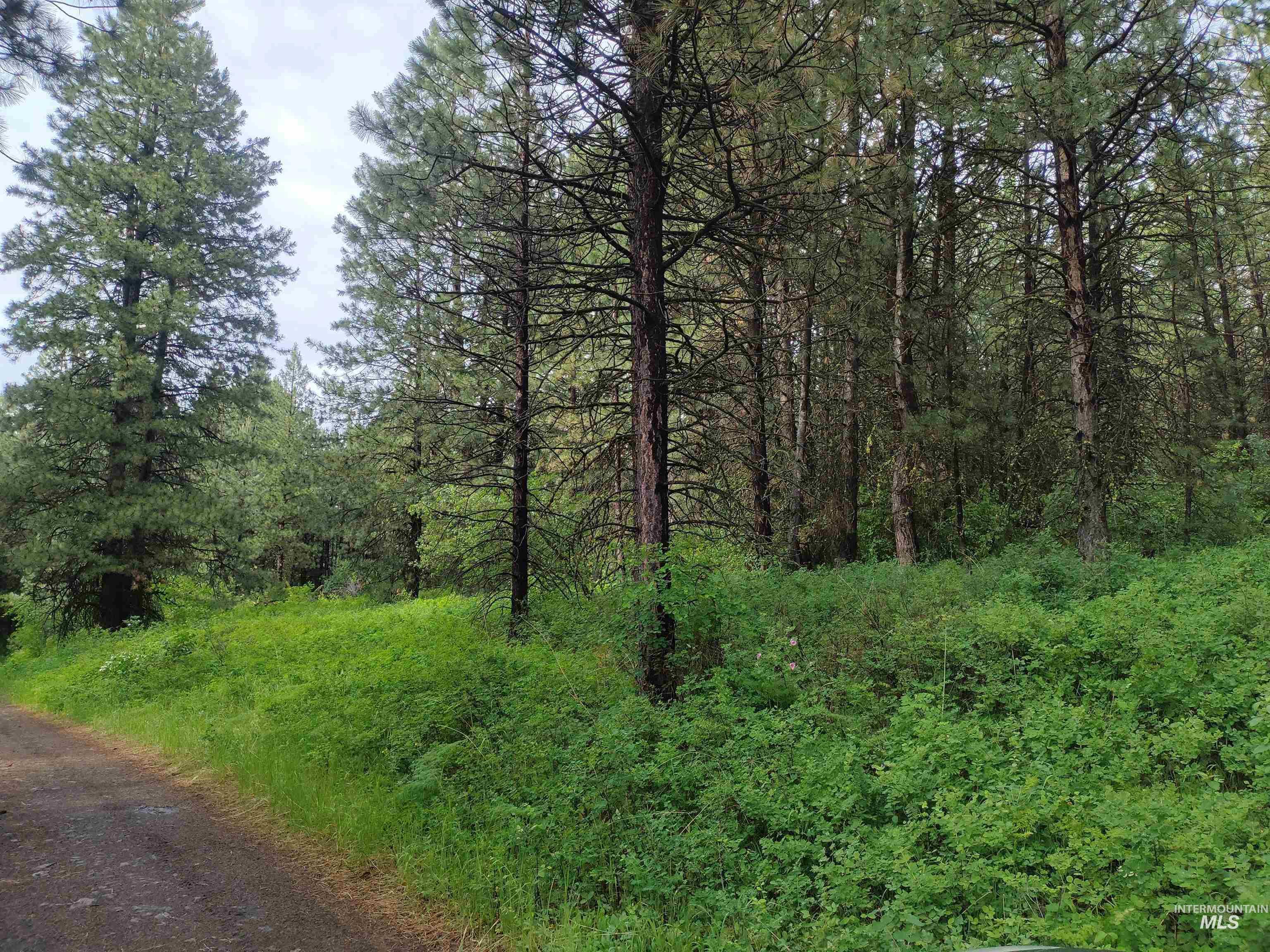 Tbd 5ac Jackpine Rd Property Photo 27