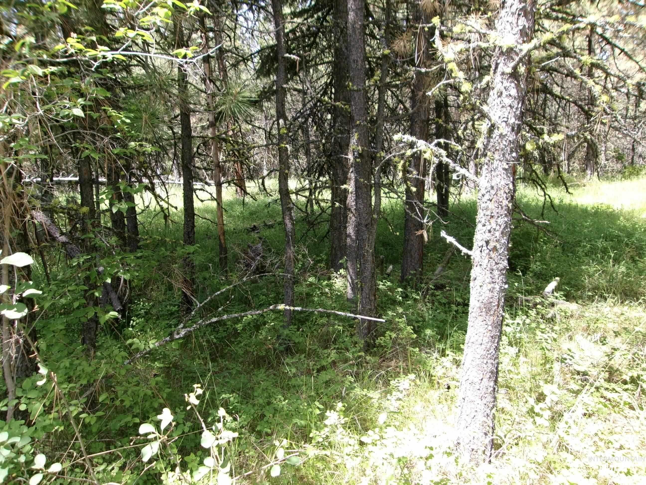 Tbd 5ac Jackpine Rd Property Photo 28