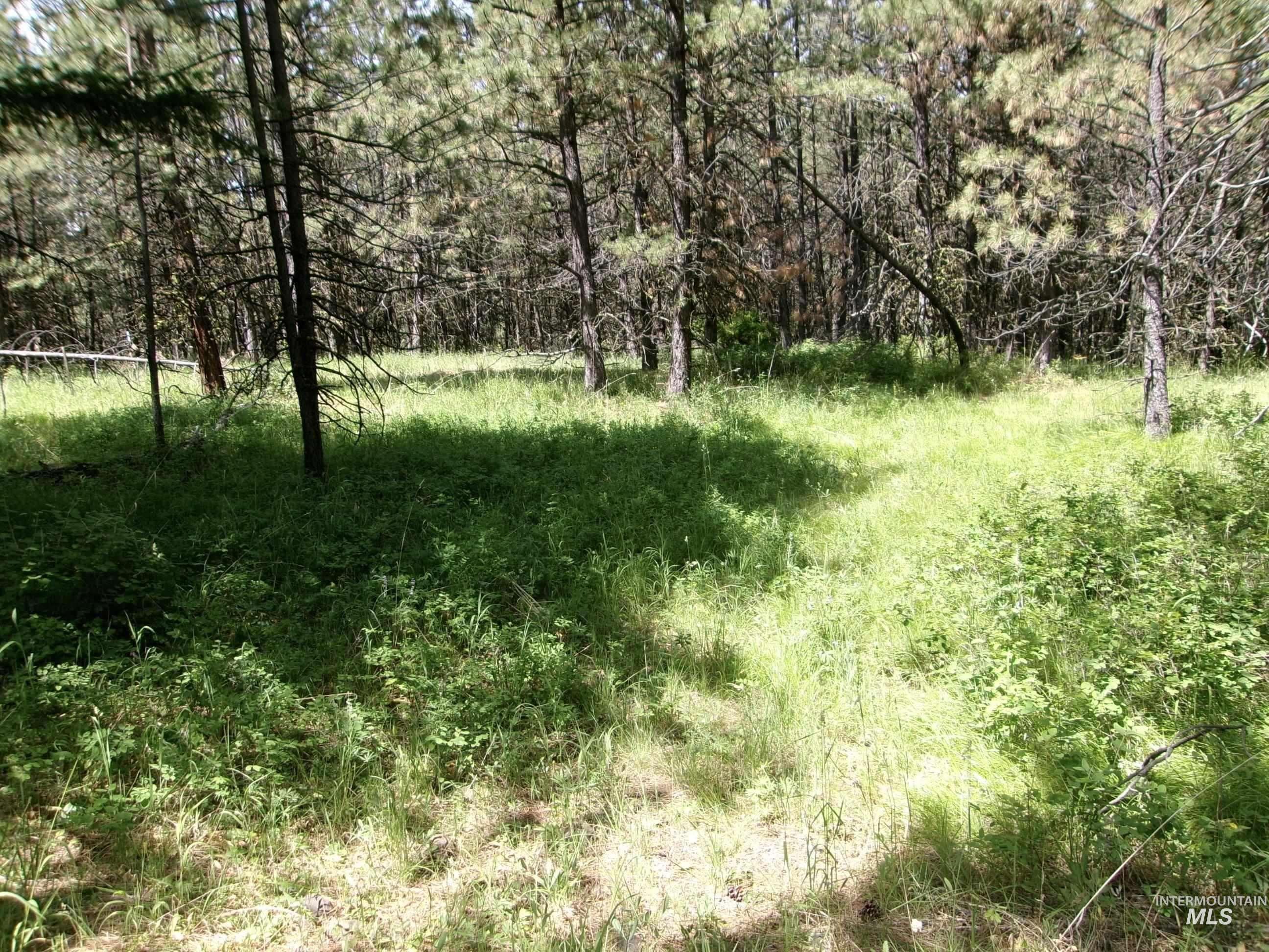 Tbd 5ac Jackpine Rd Property Photo 29