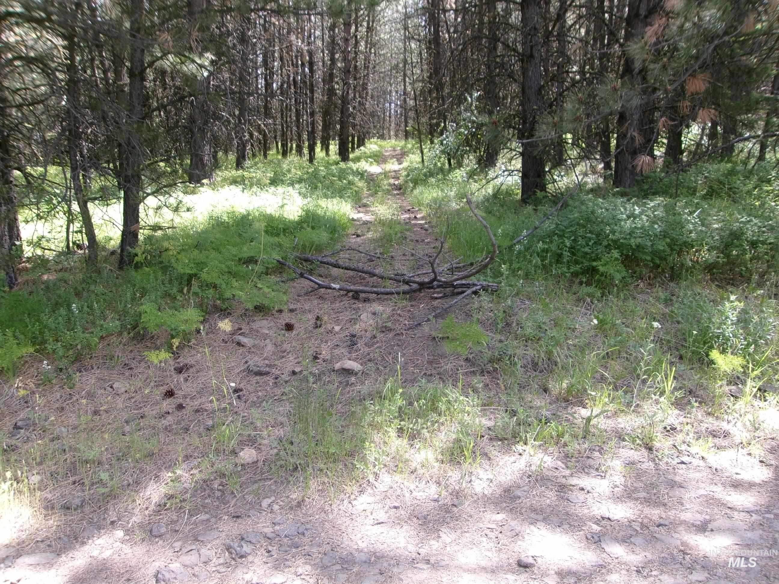 Tbd 5ac Jackpine Rd Property Photo 31