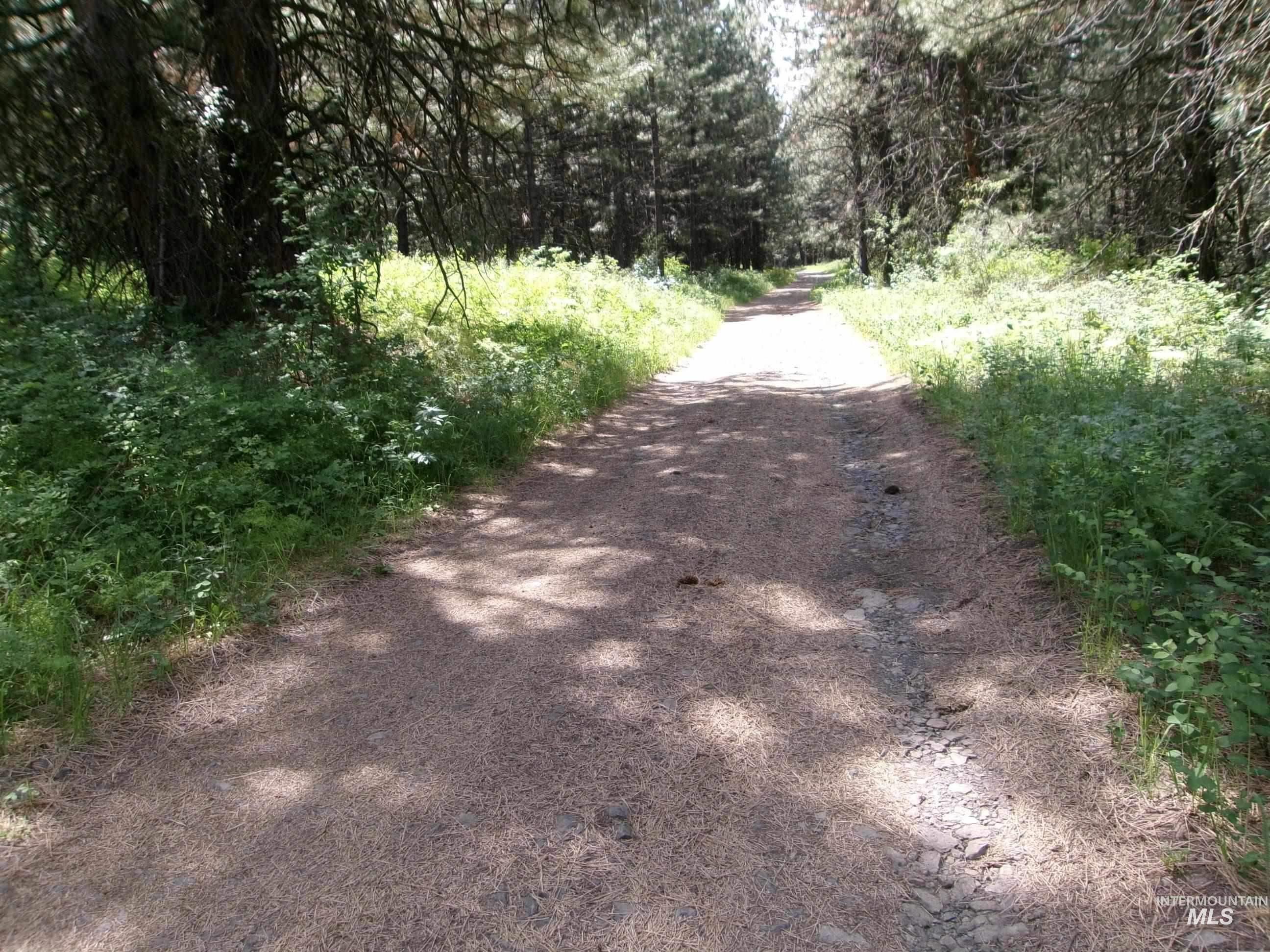 Tbd 5ac Jackpine Rd Property Photo 32