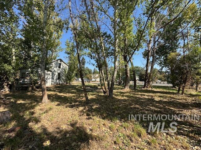 1215 Harrison Street Property Photo 13
