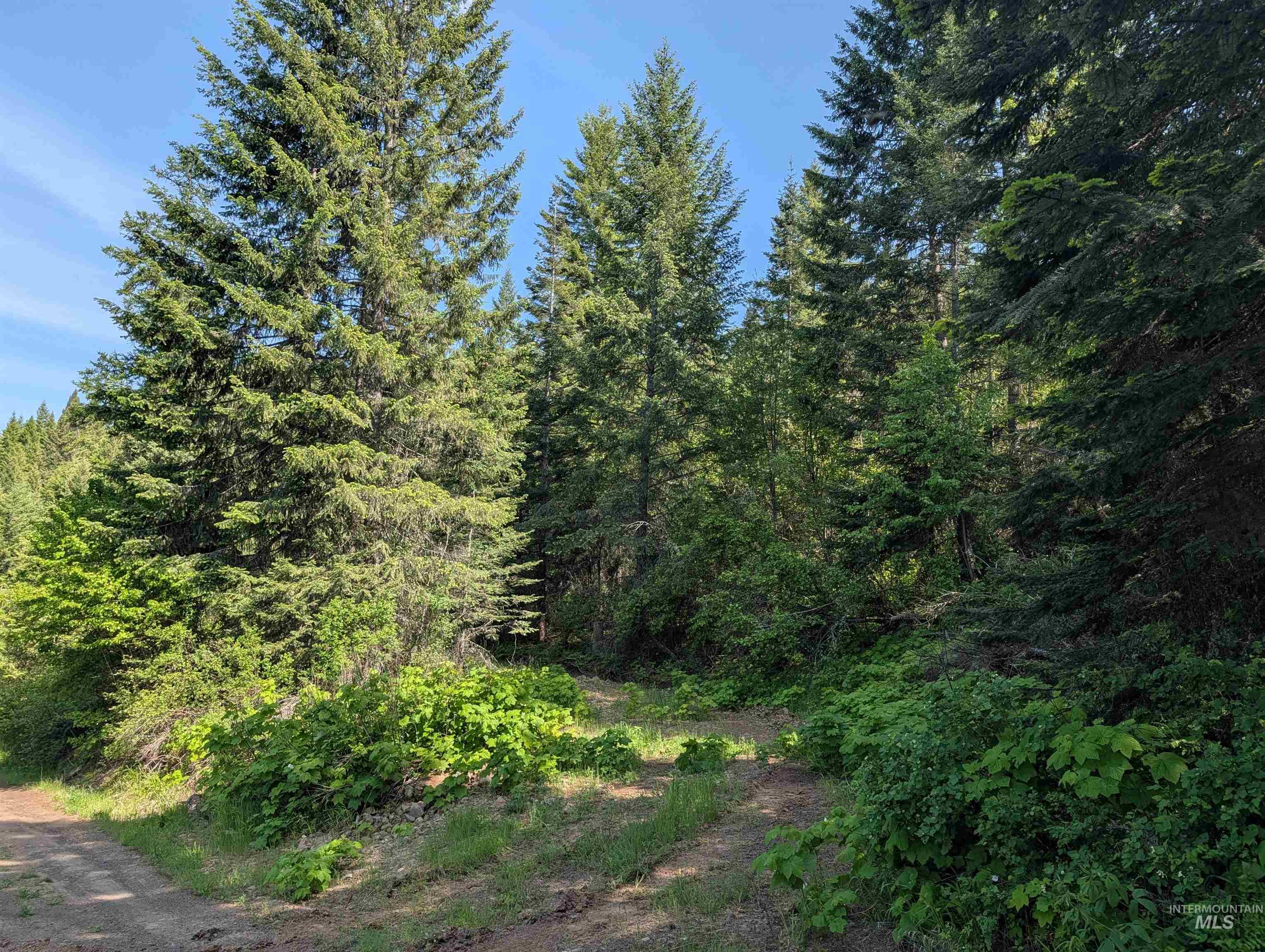 750 Mountain Top Drive (#2) Property Photo 10
