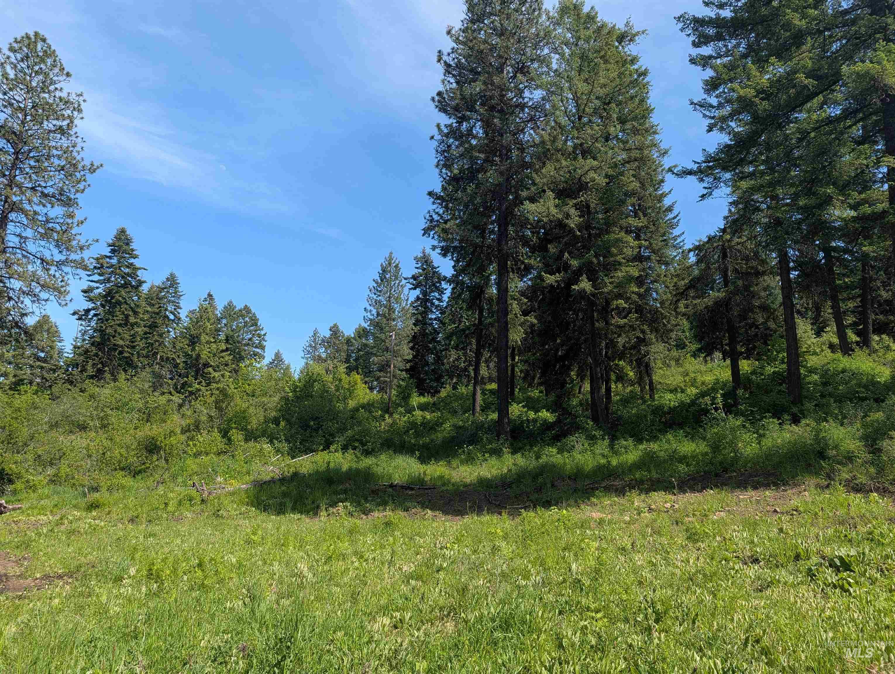 750 Mountain Top Drive (#2) Property Photo 16