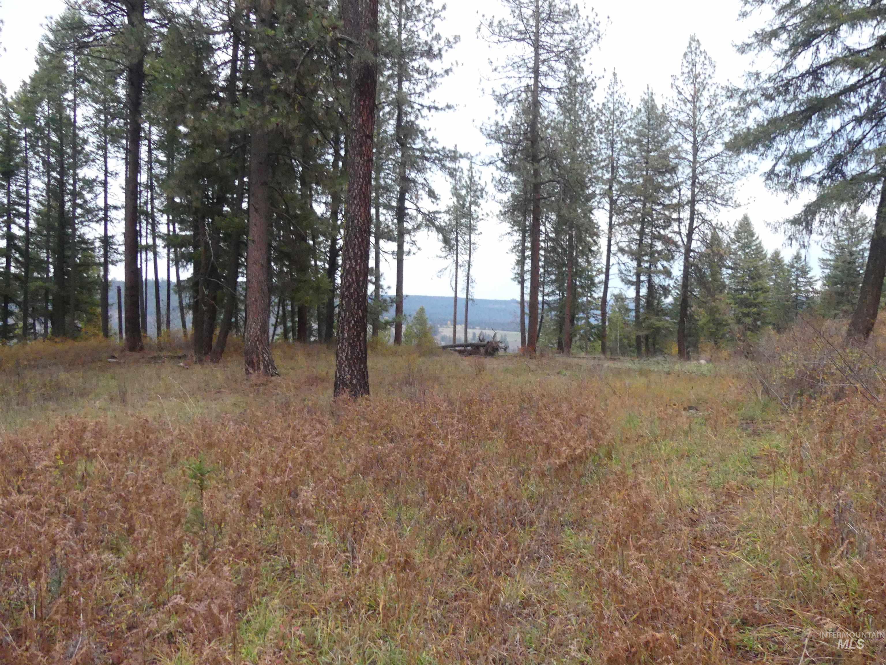 750 Mountain Top Drive (#2) Property Photo 29