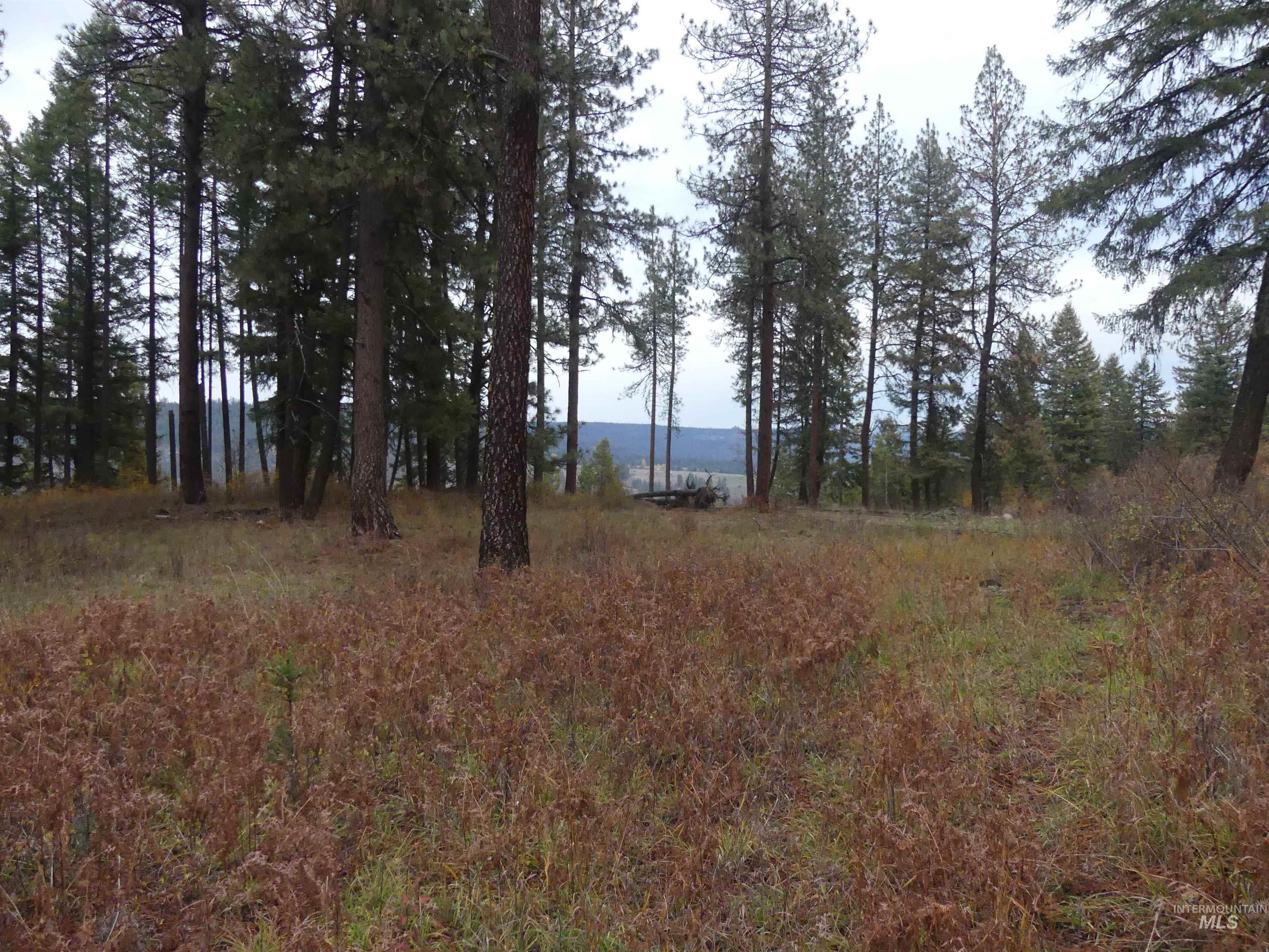 750 Mountain Top Drive (#2) Property Photo 31