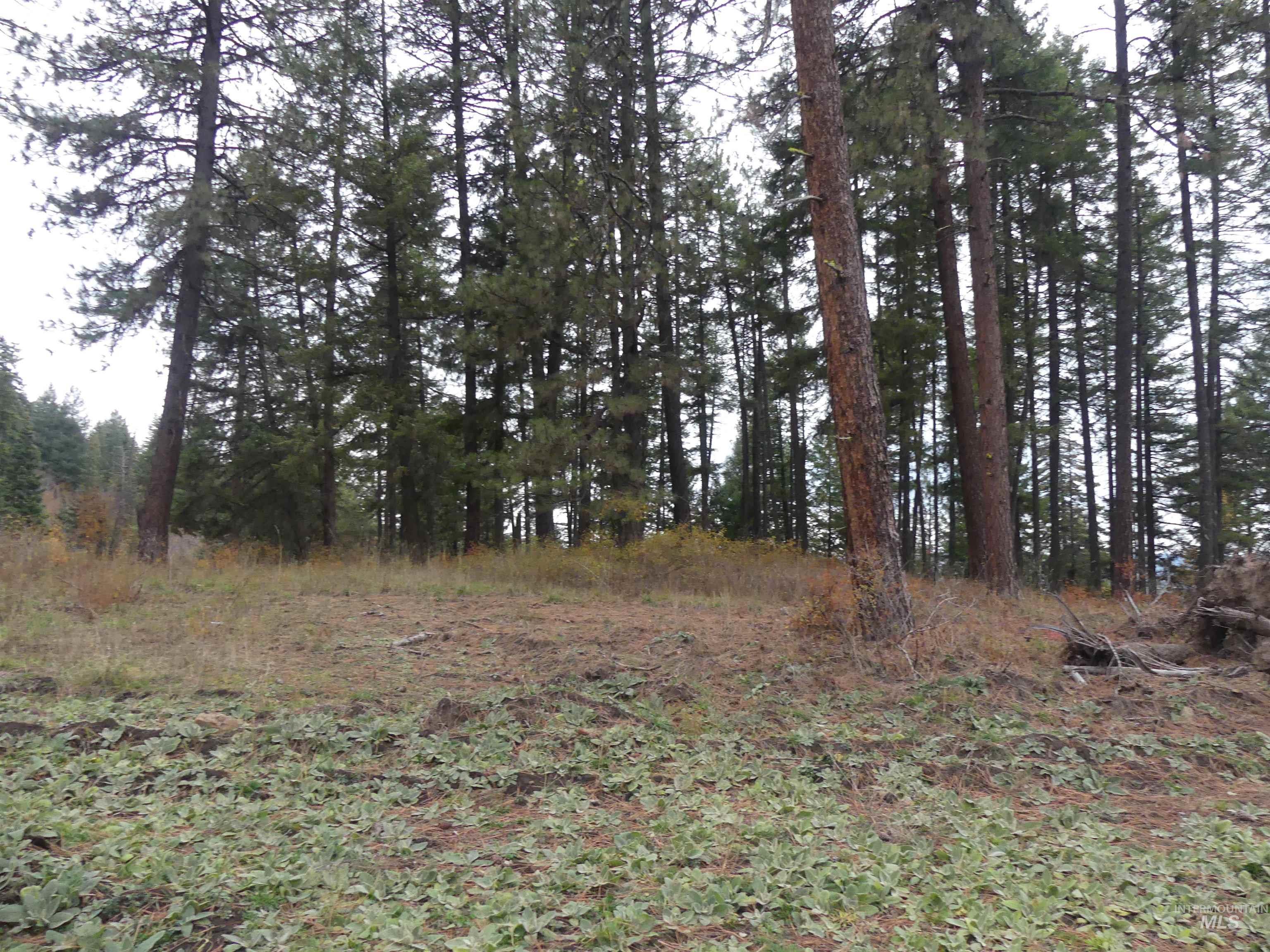750 Mountain Top Drive (#2) Property Photo 42
