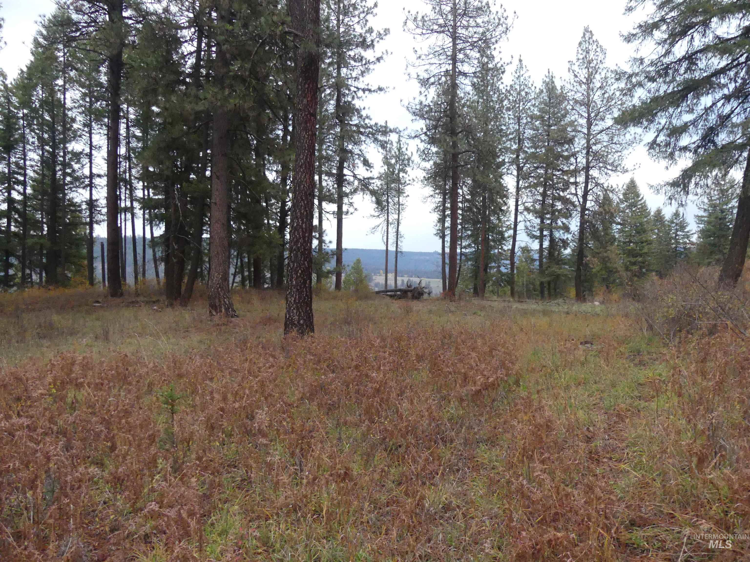 750 Mountain Top Drive (#2) Property Photo 46