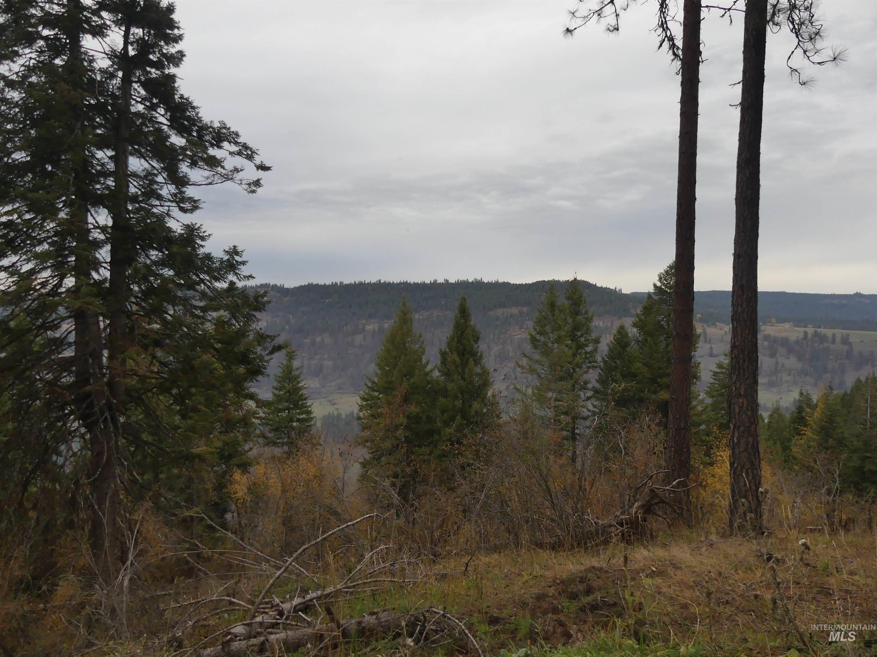 750 Mountain Top Drive (#2) Property Photo 47