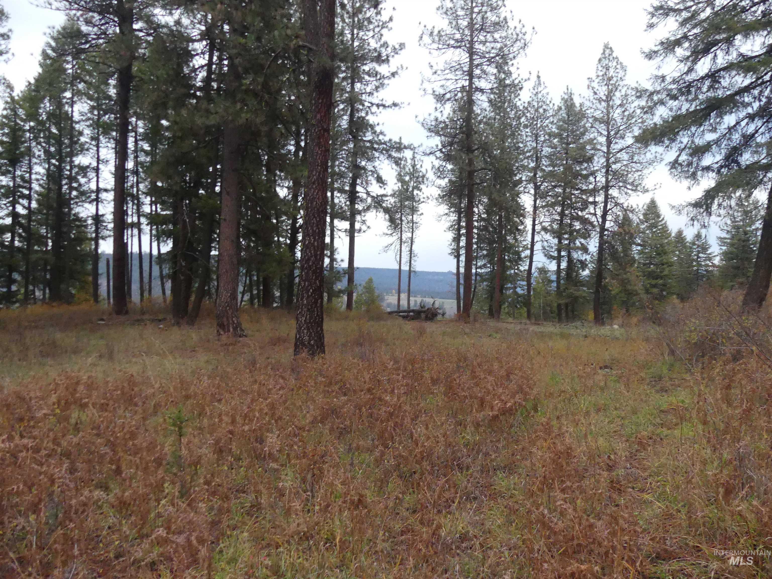 750 Mountain Top Drive (#2) Property Photo 48