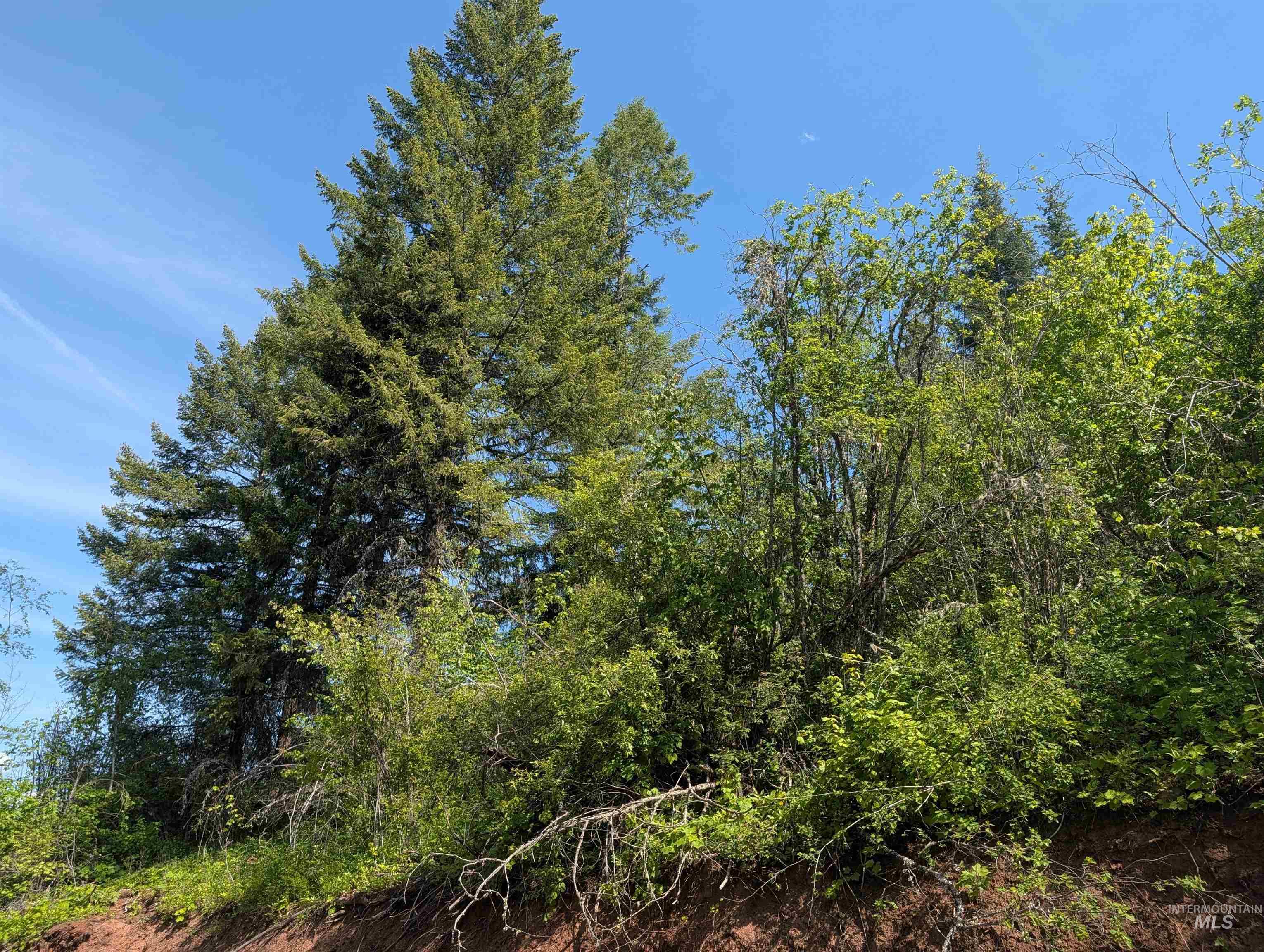 714 Mountain Top Drive (#3) Property Photo 14