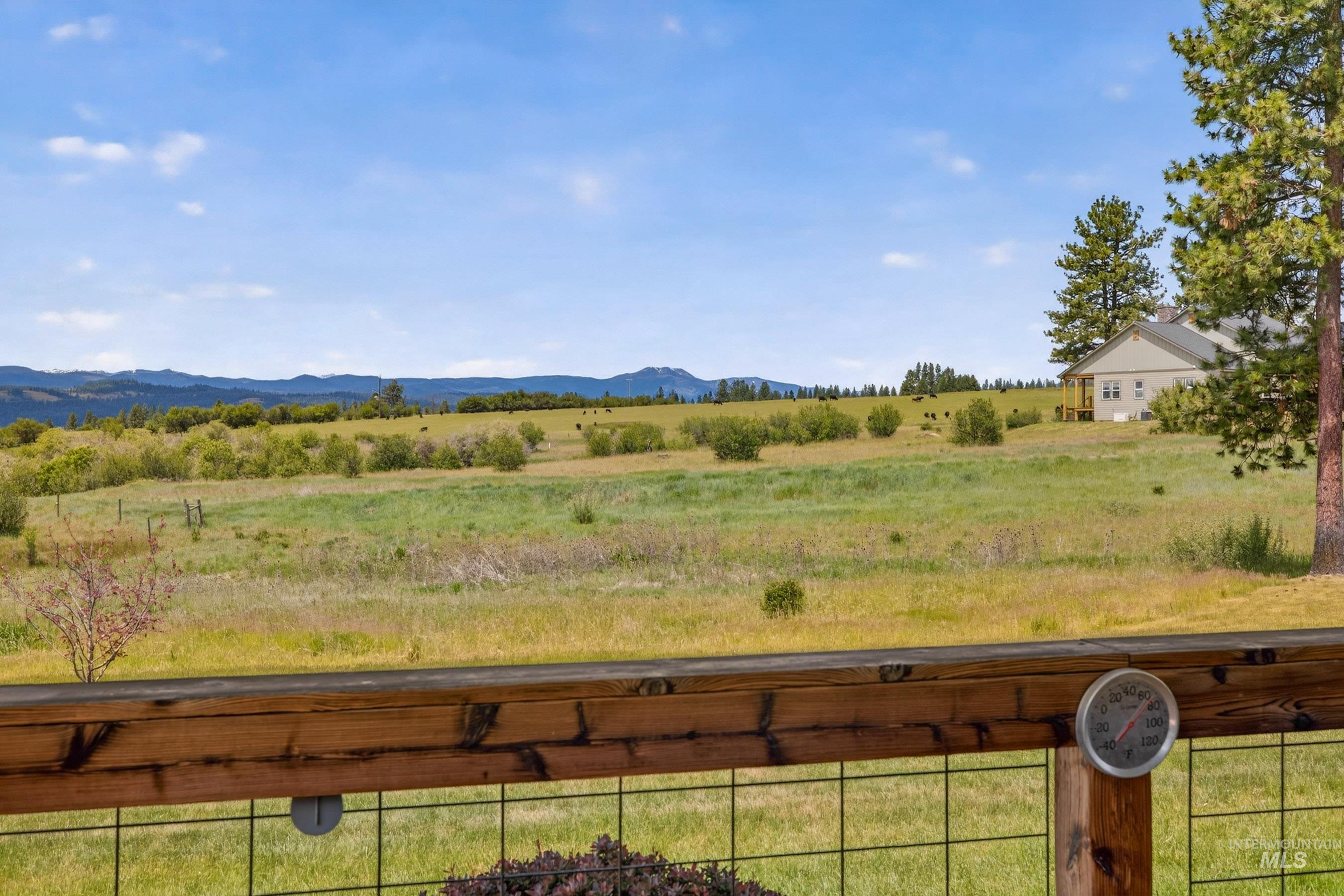 3202 Canyon Creek Way Property Photo 6