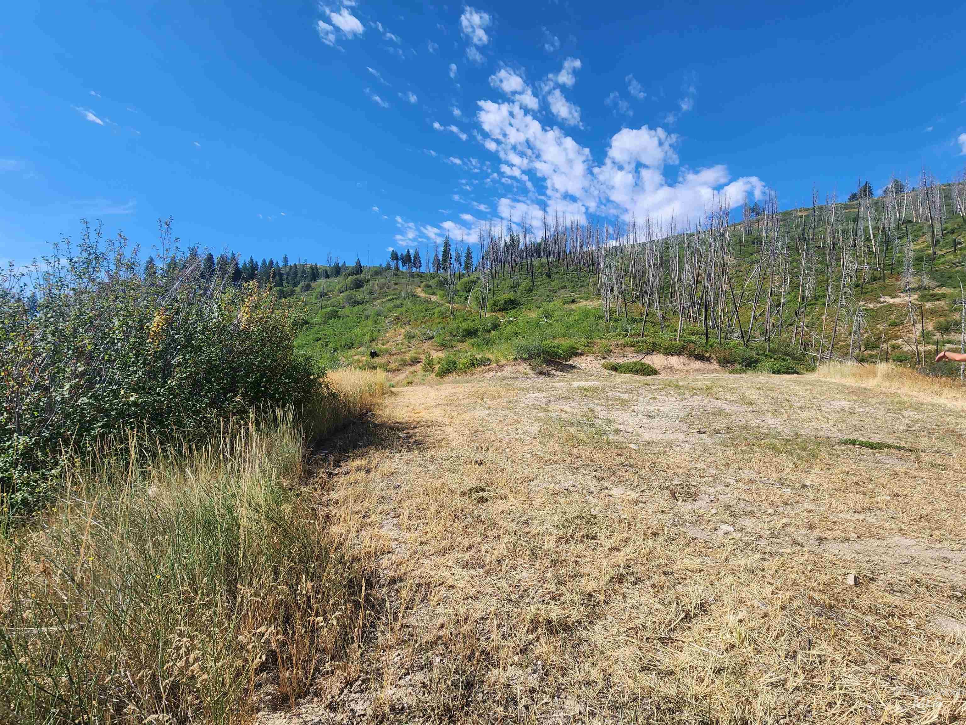 Tbd S Bay View Rd Property Photo 8