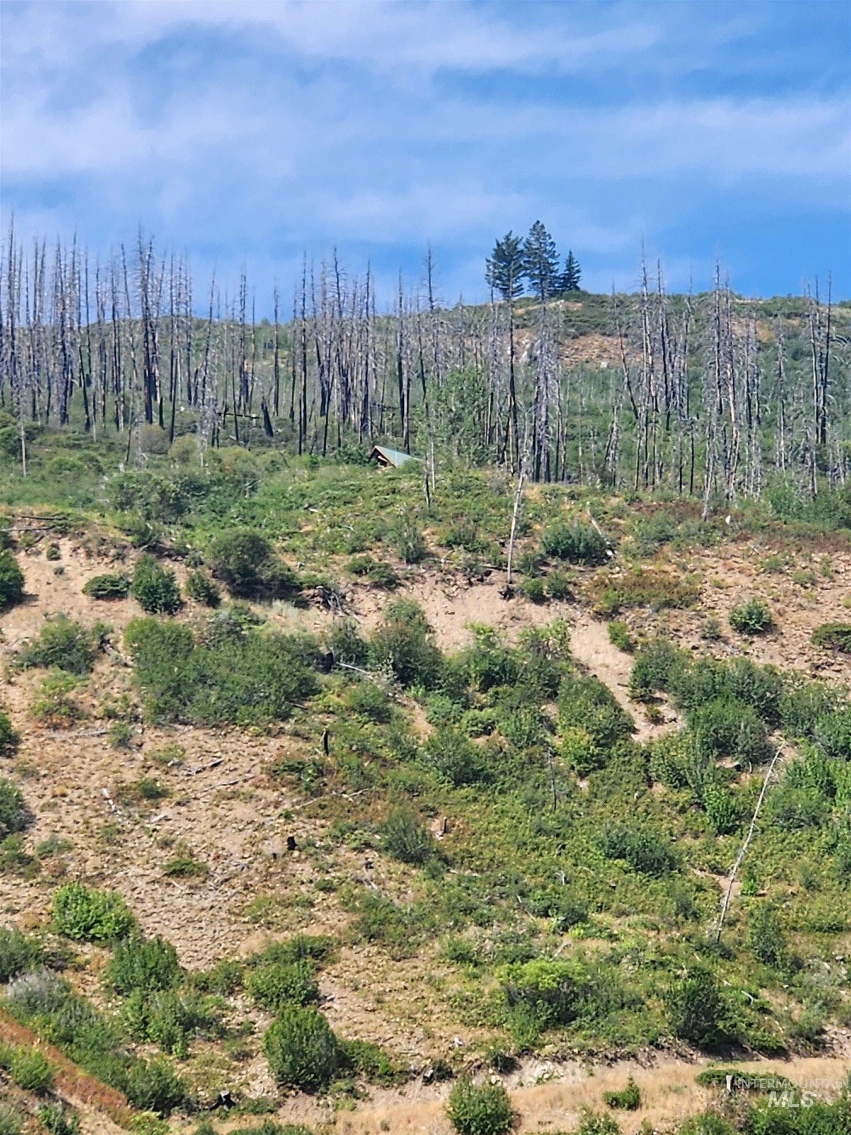 Tbd S Bay View Rd Property Photo 25