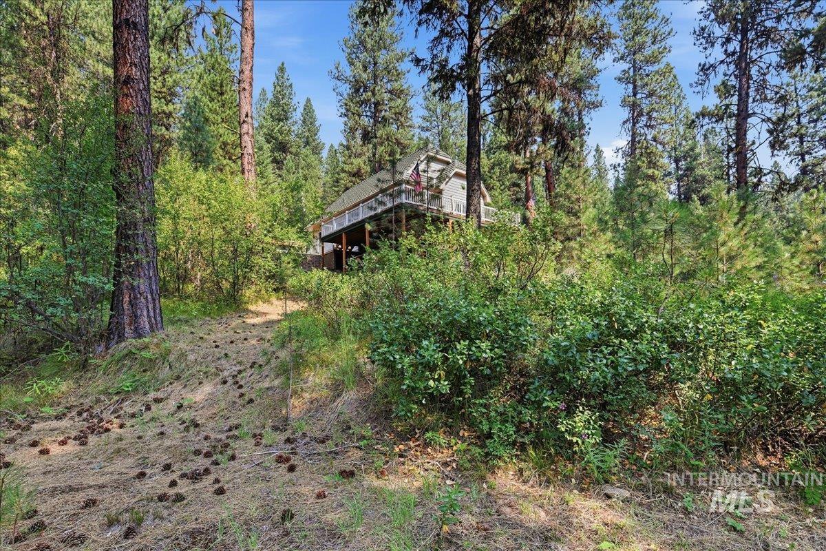 4474 Hwy 21 Property Photo 37