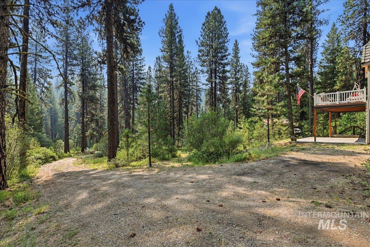 4474 Hwy 21 Property Photo 38