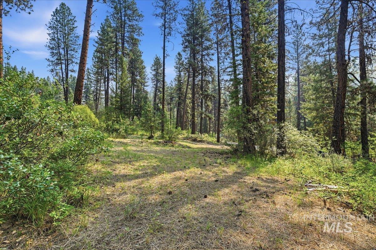 4474 Hwy 21 Property Photo 41