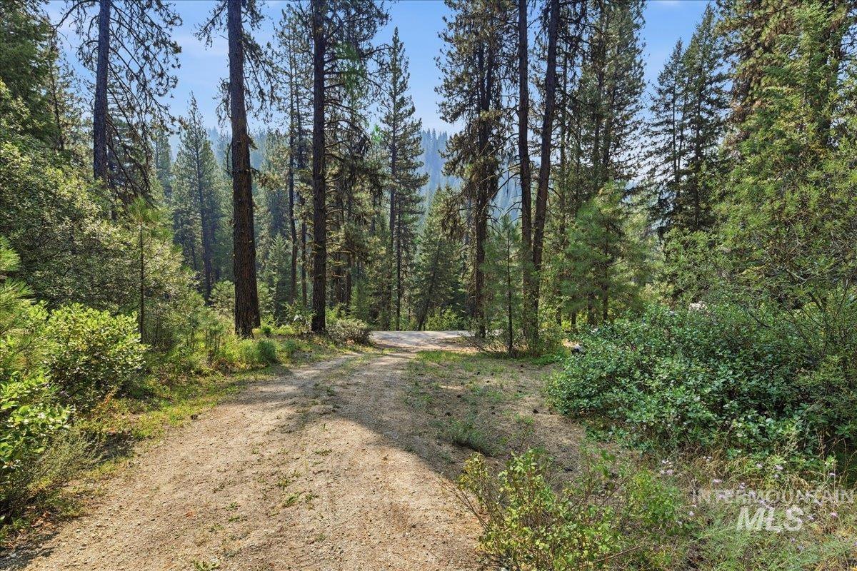 4474 Hwy 21 Property Photo 42